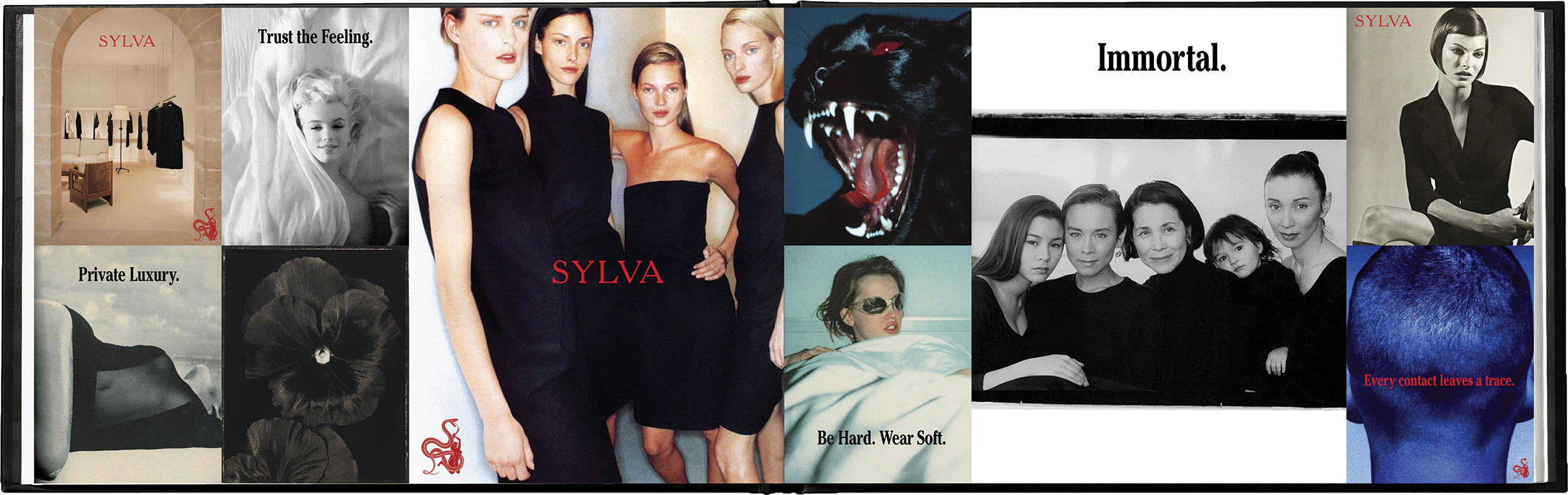 SYLVA brand book - 18.png
