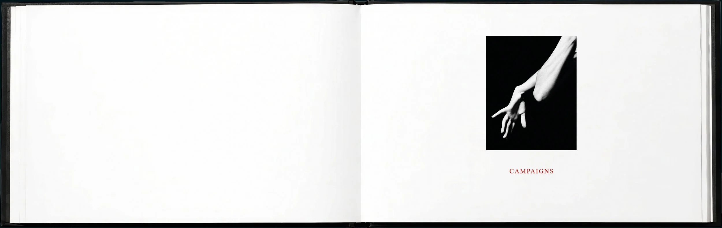 SYLVA brand book5.jpg