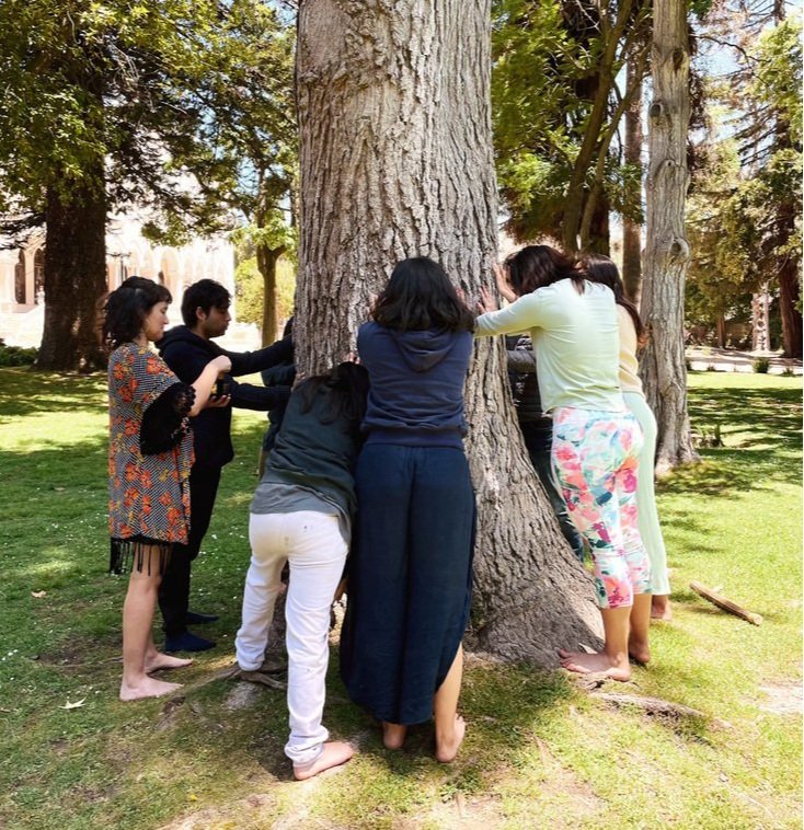 Registro fotográfico de sesiones grupales facilitadas por la profesora del curso