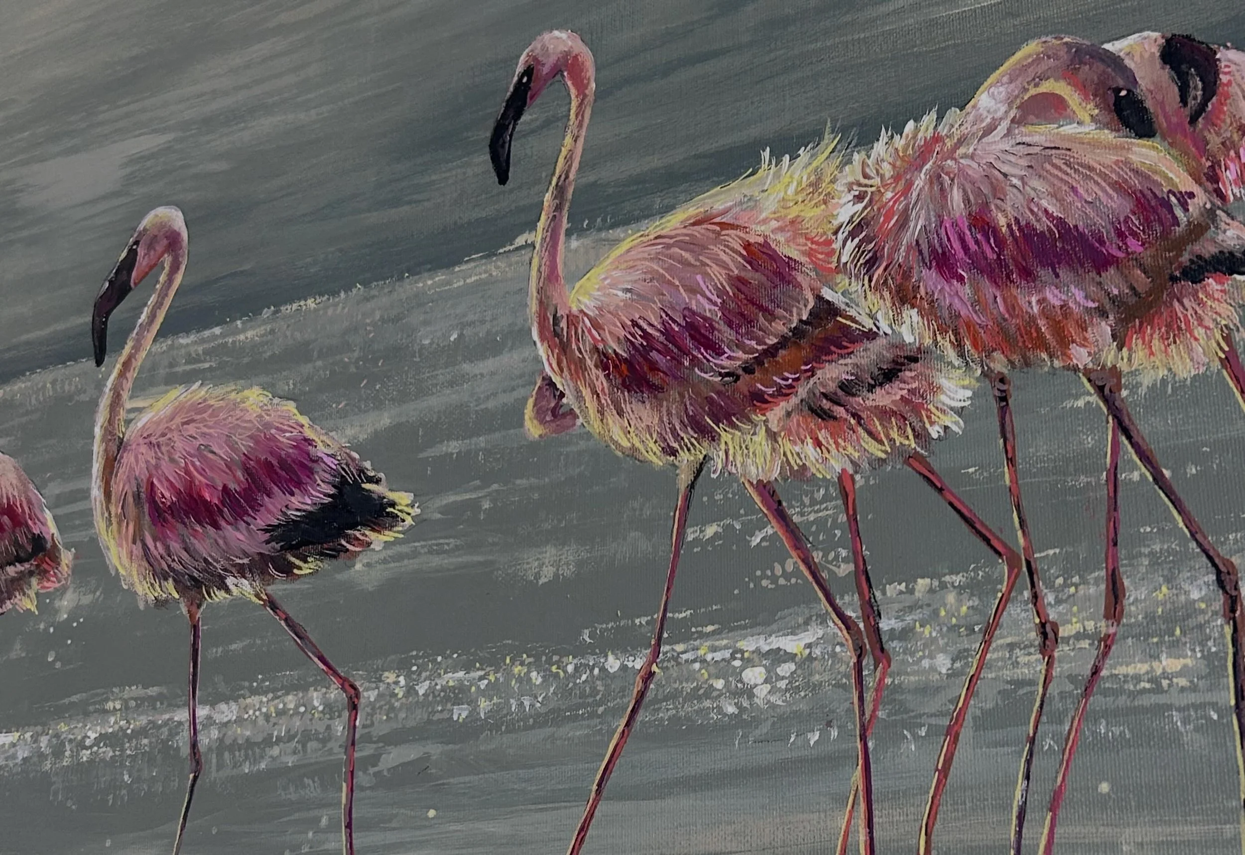 Flamingo1.JPG