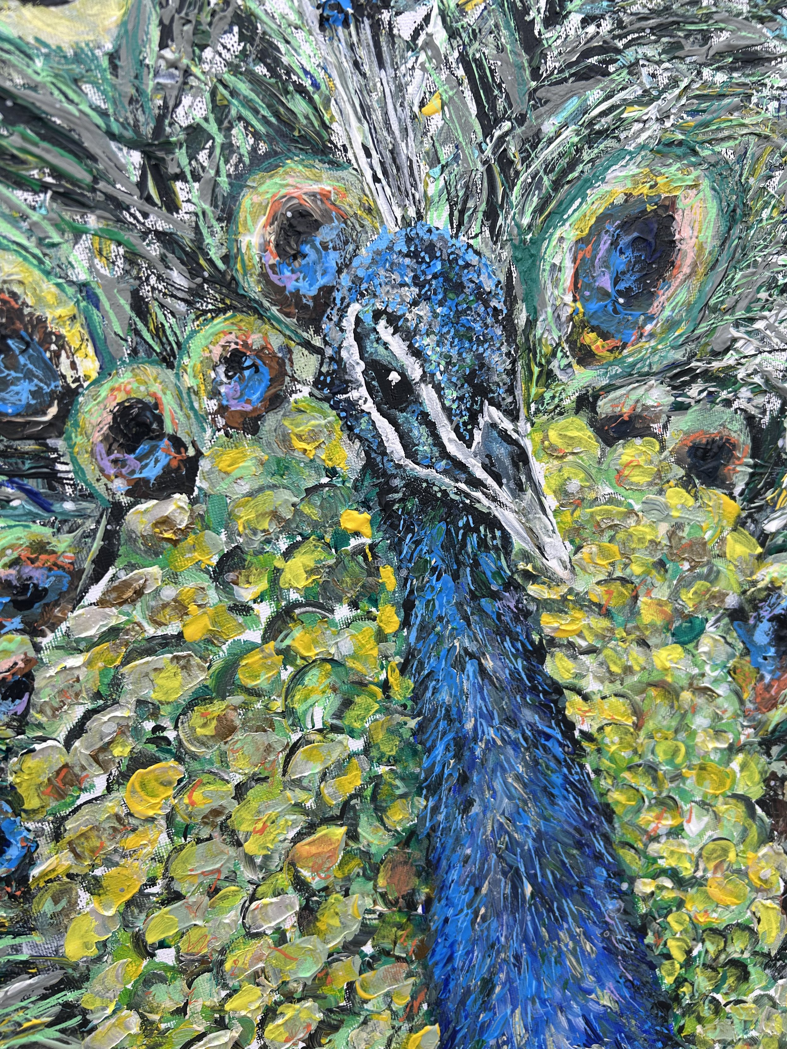 Peacock 2.jpeg