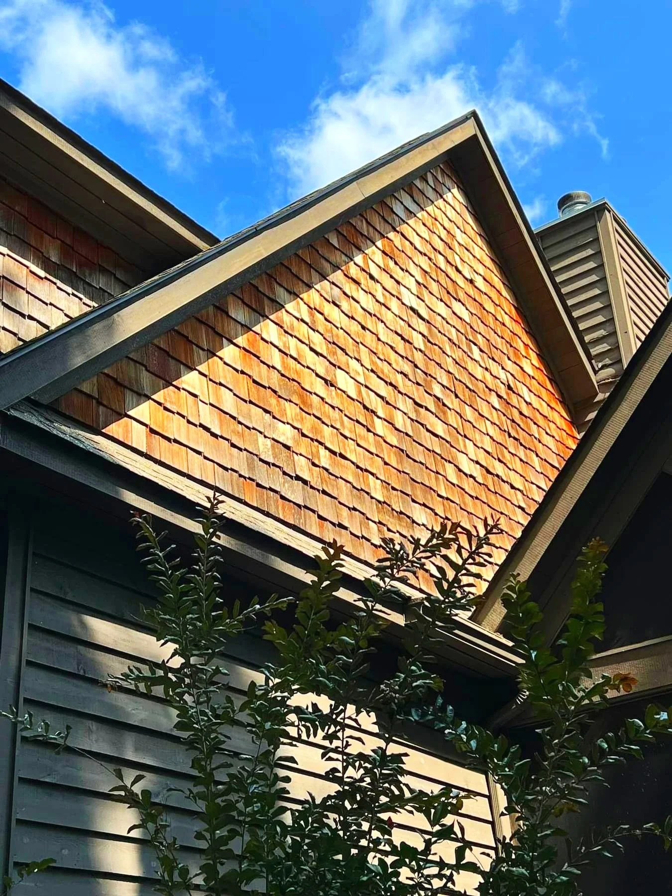 Blue Ridge Pressure Washing
