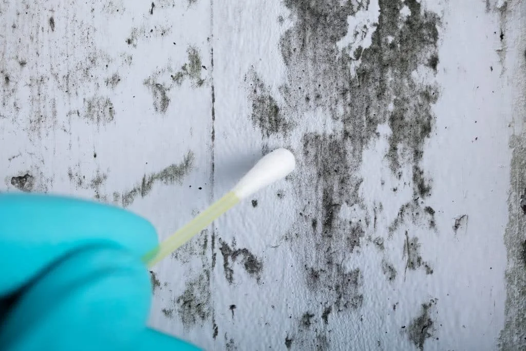 J. Gregory Home Inspections swab surface testing for mold inspections in Pensacola, FL