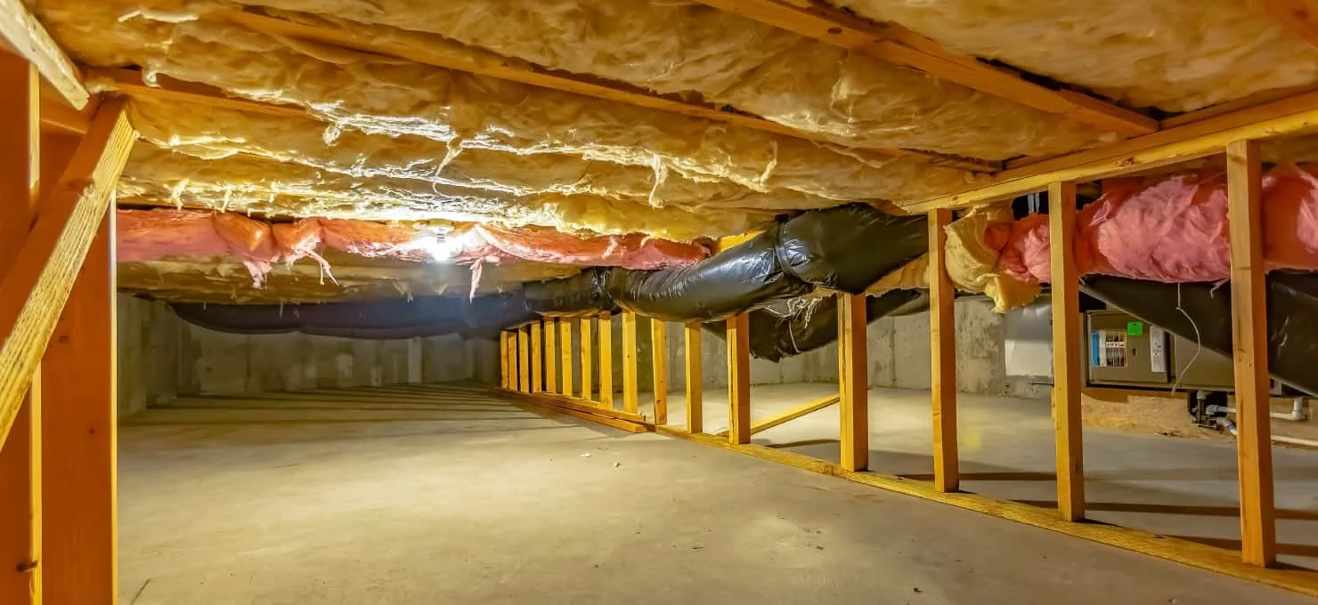 Unveiling Hidden Problems: Crawl Space Issues Uncovered During Home Inspections