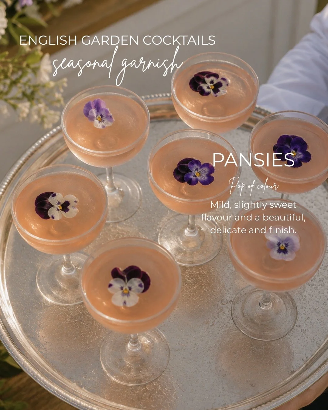 Spring is the season of quiet abundance &mdash; blossoms you can both admire and taste. 

Think elderflower, violets, pansies and lavender&hellip; each one adding a soft, fragrant lift to spring cocktails and gathering moments outdoors.

Simple, seas