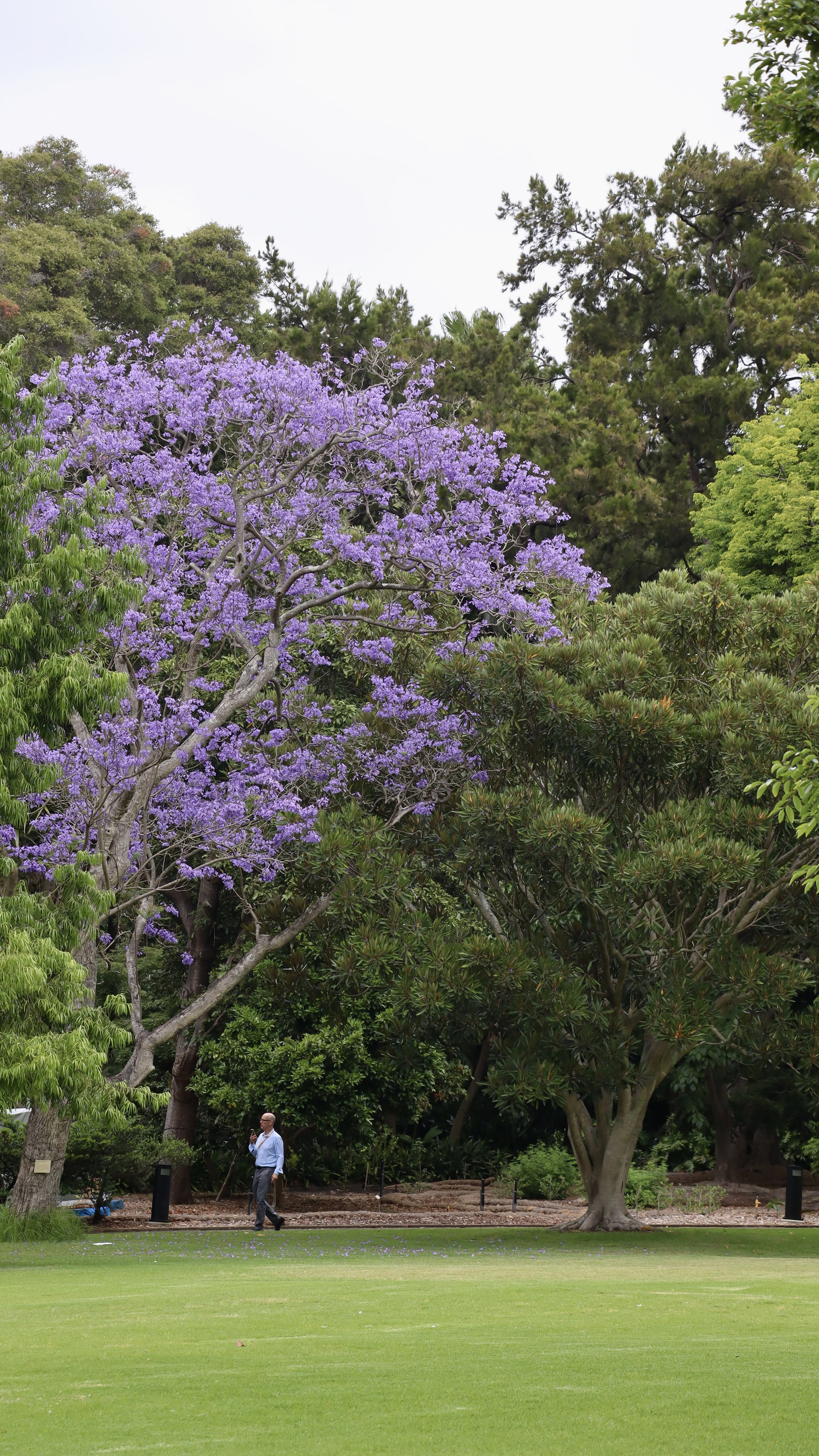 Royal Botanic Garden Sydney