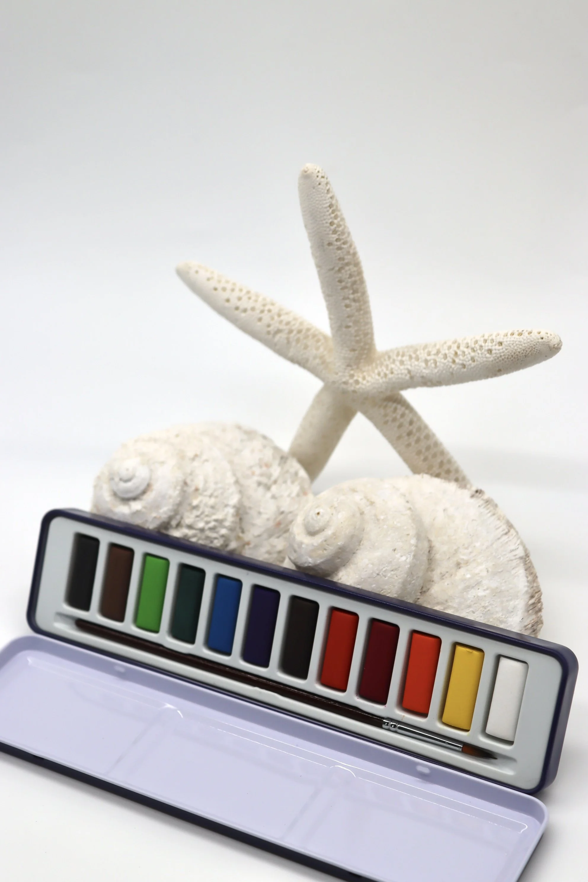 Watercolour Paint Pallet