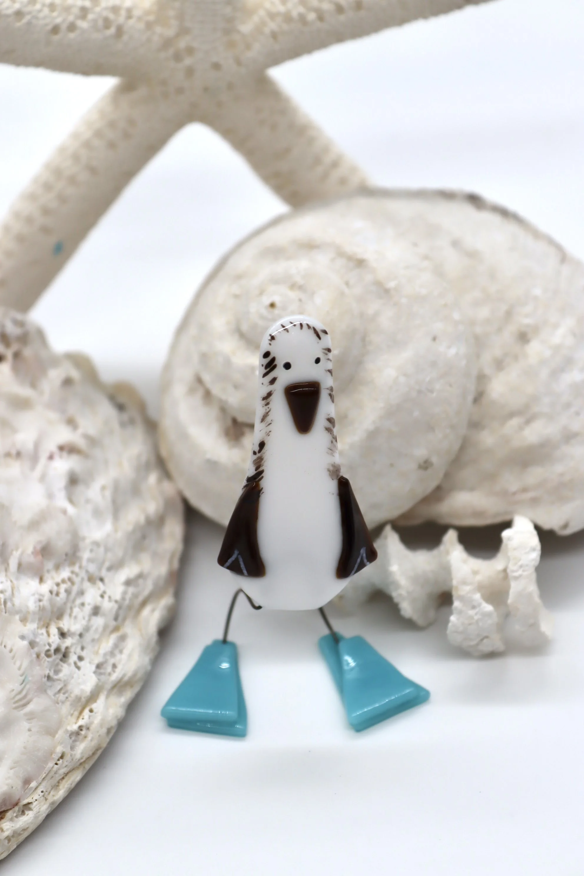 Blue-Footed Booby Standing