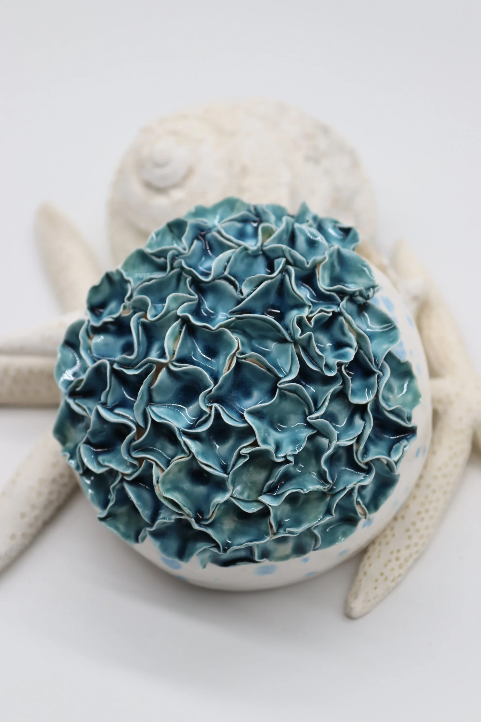 Large Blue Coral
