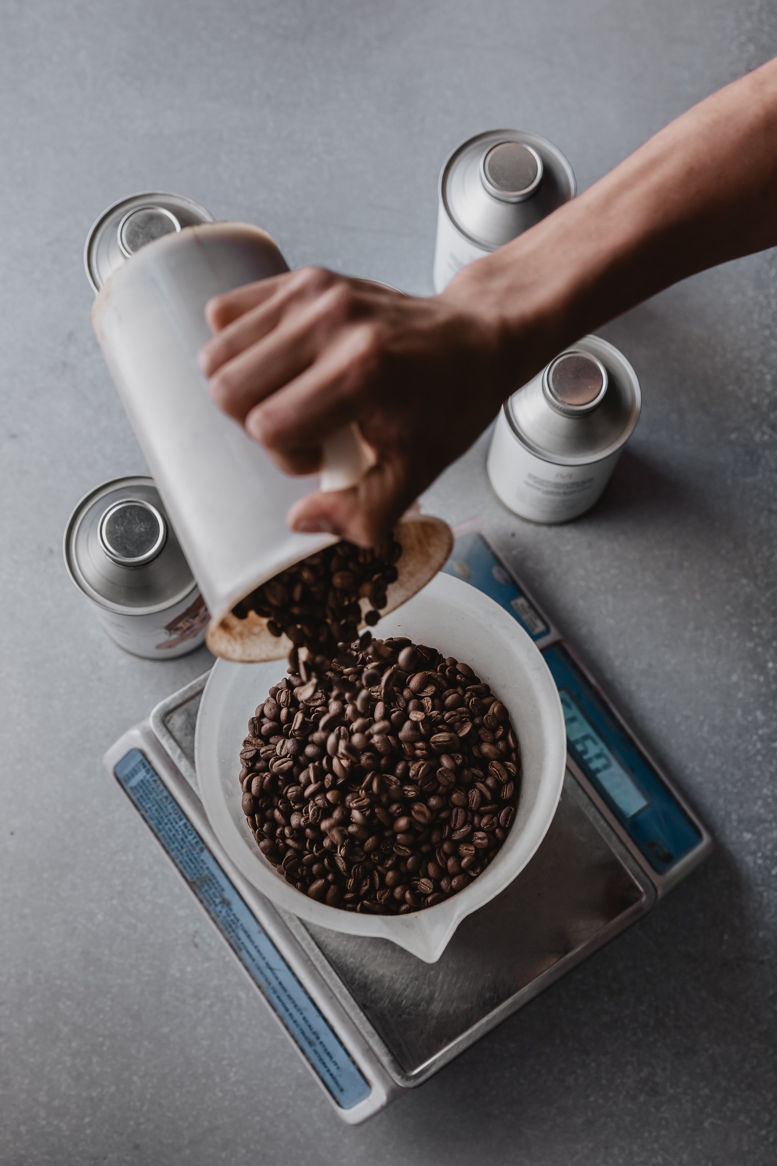 Monarch Paarl Roastery_Summer 2023-2024 Content_035.jpg