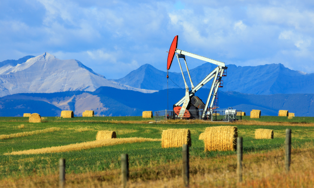 Why Canadians Work Harder and Get Less