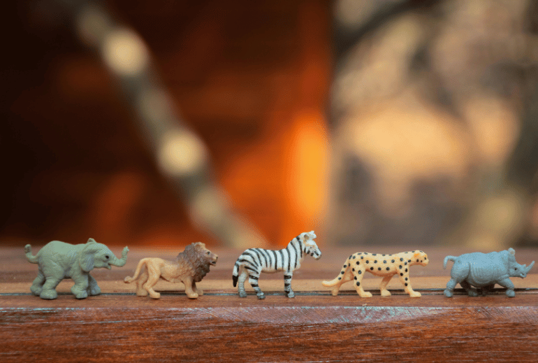 The evolution of awards management