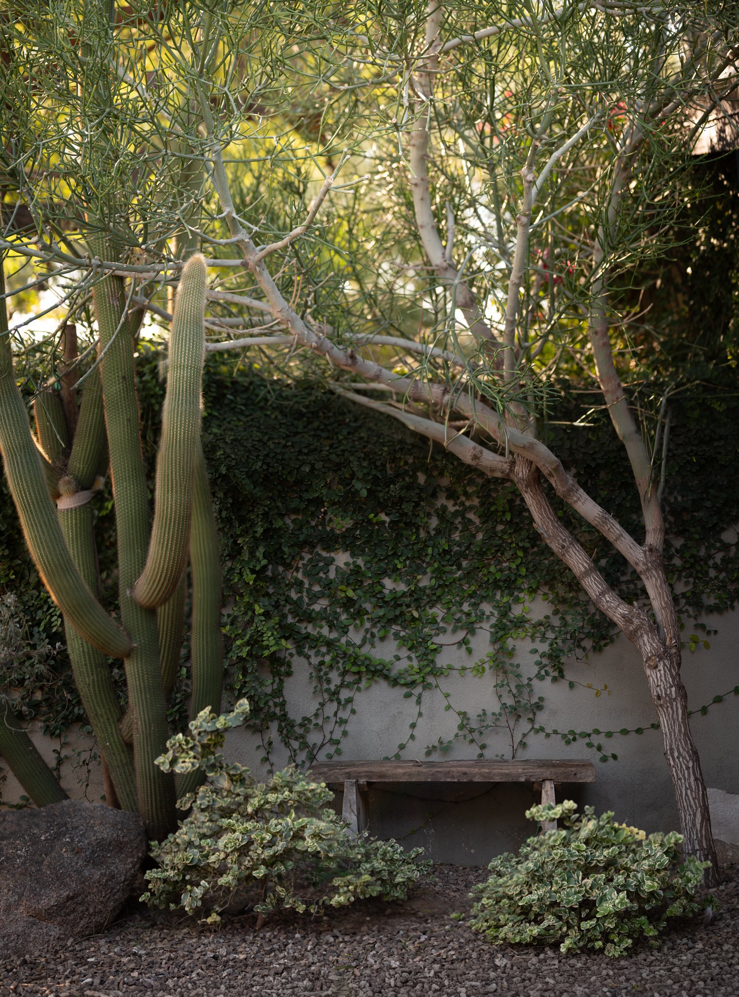 2026 01 16 Johnson Air BnB-36.jpg