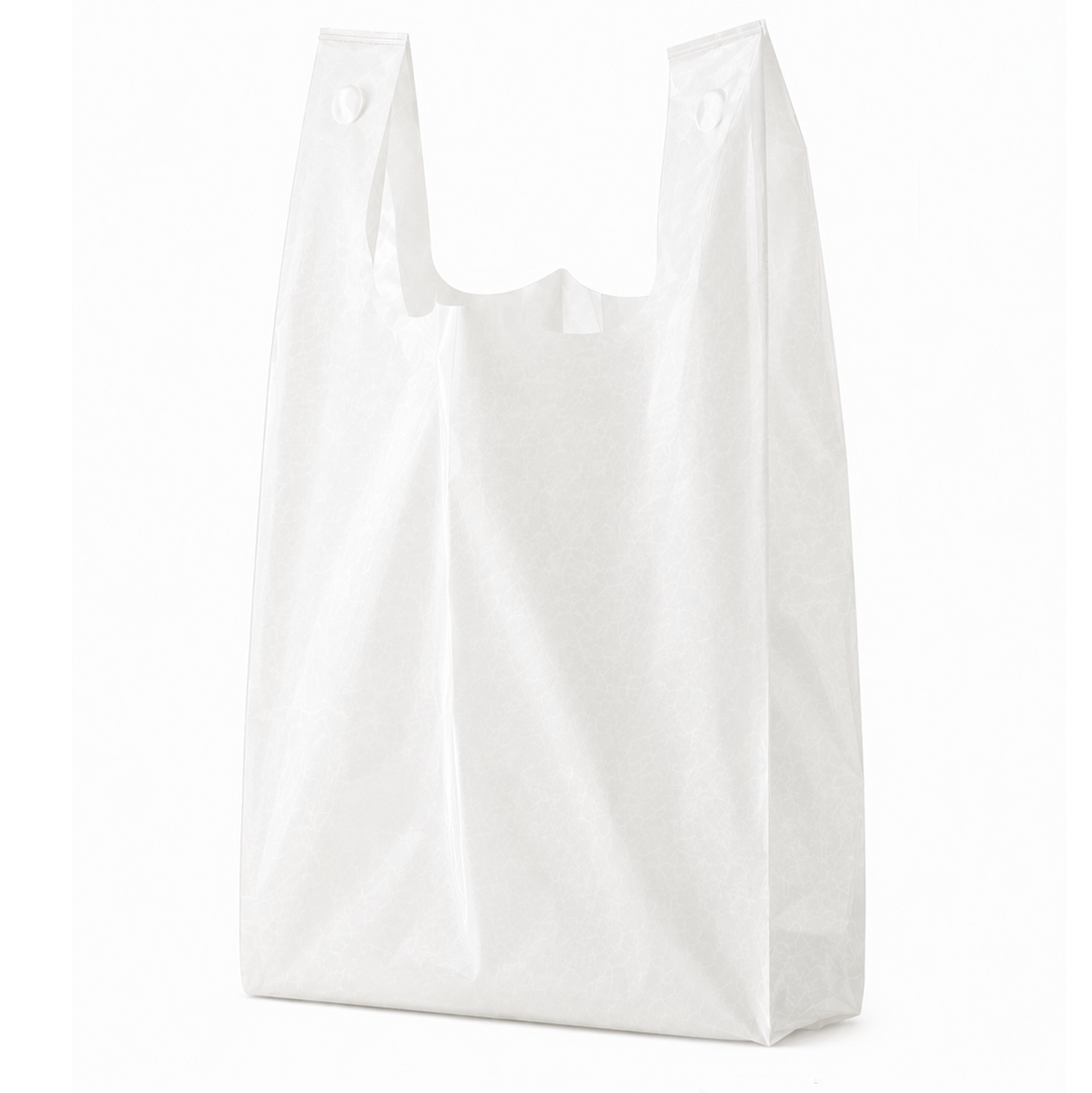 Large retail bag.png