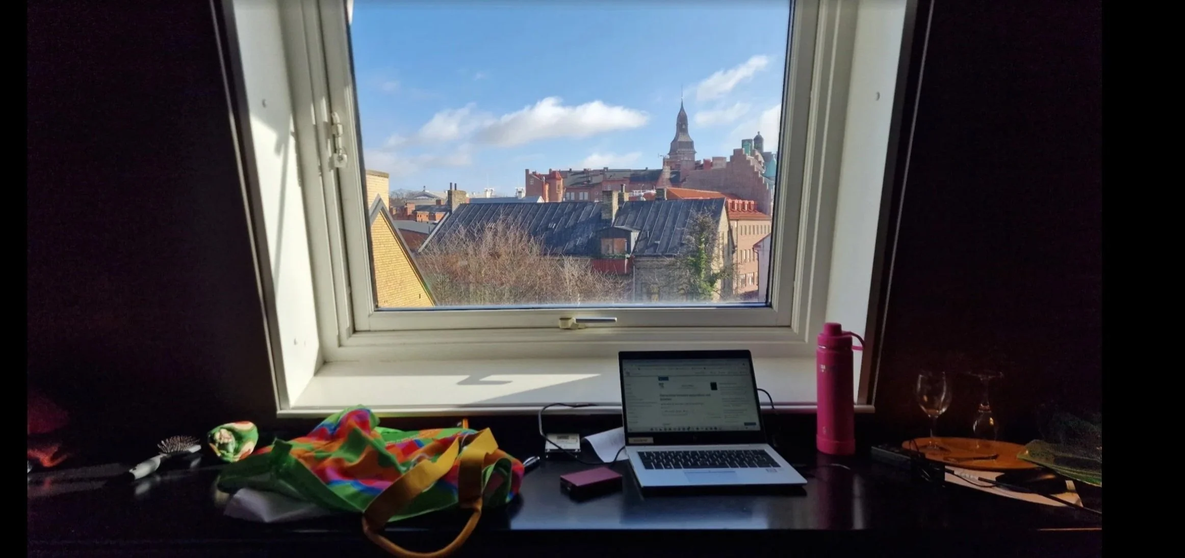 Salvage fish: Commodification of fisheries last resort