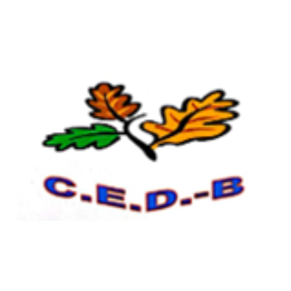 CEDB (1).png