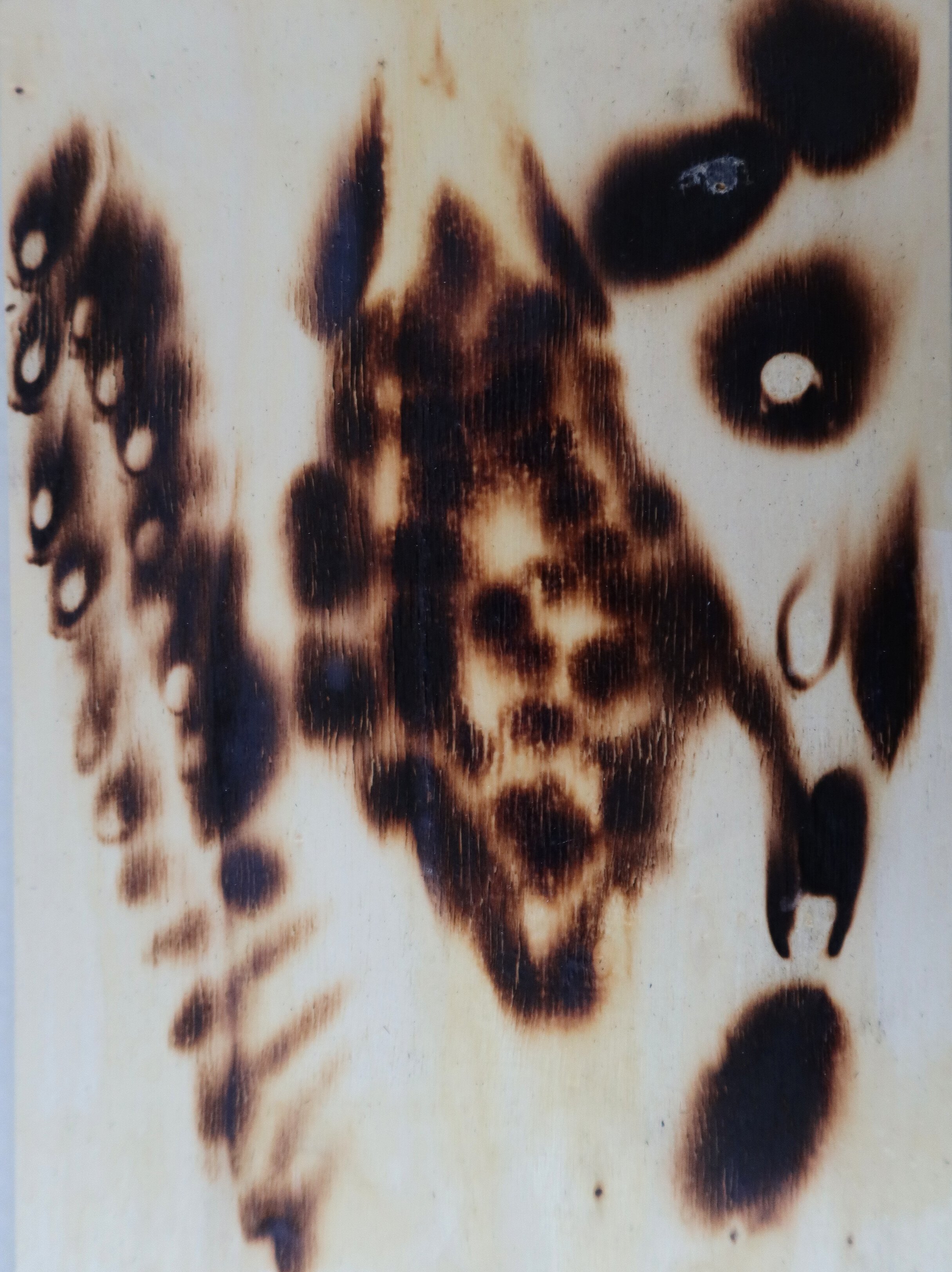 Broken, 2023, 29.5x21 cm, burned wood by Corina DC FireLady