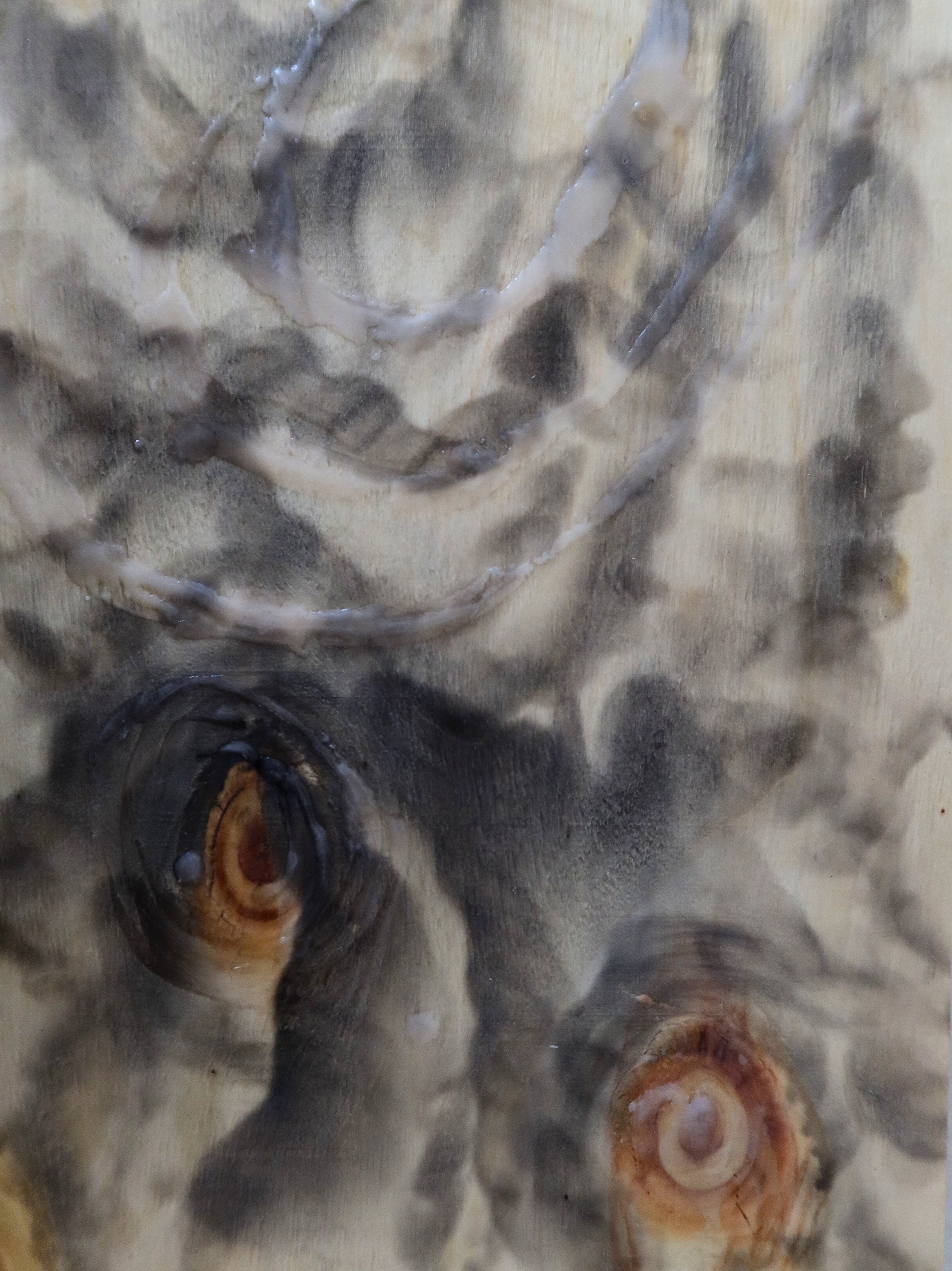 See You Inside, 2023, 29.5x19.9 cm, burned wood and wax by Corina DC FireLady