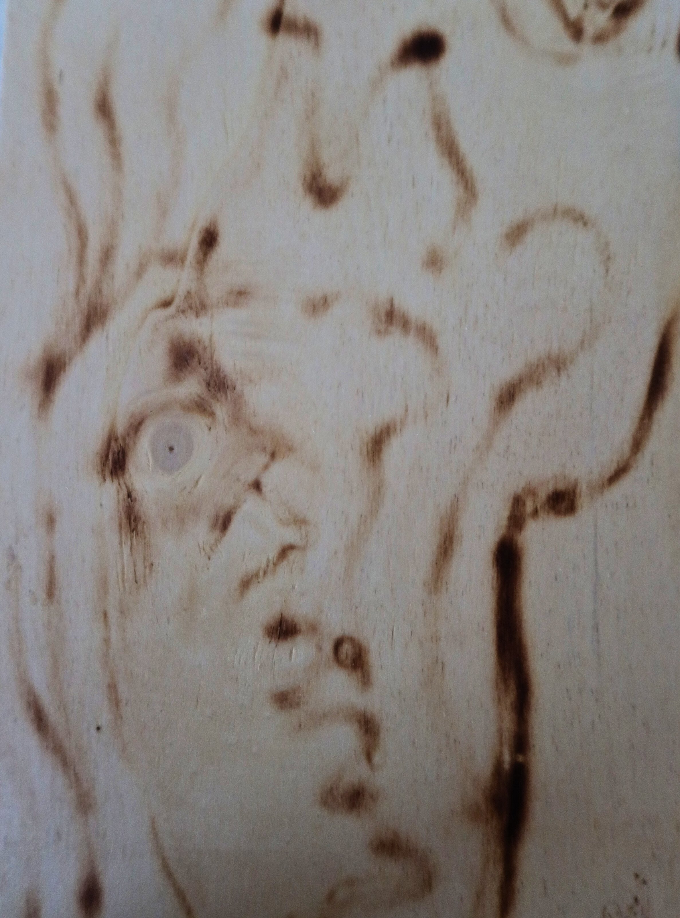 Deformed, 2023, 29.5x21 cm, burned wood by Corina DC FireLady