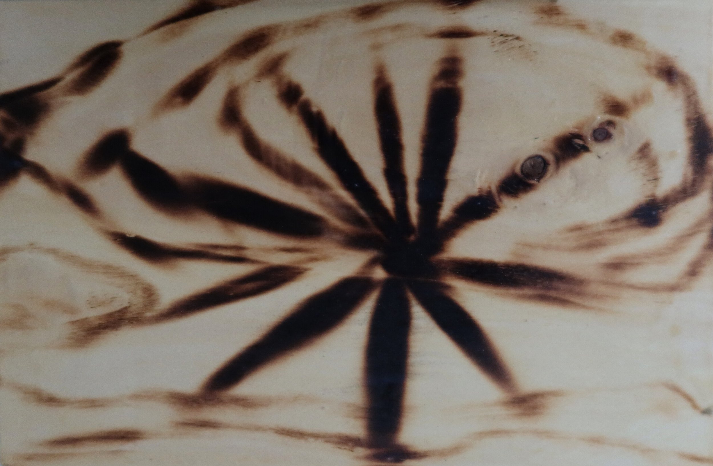 Spark, 2023, 21x29.5 cm, burned wood by Corina DC FireLady