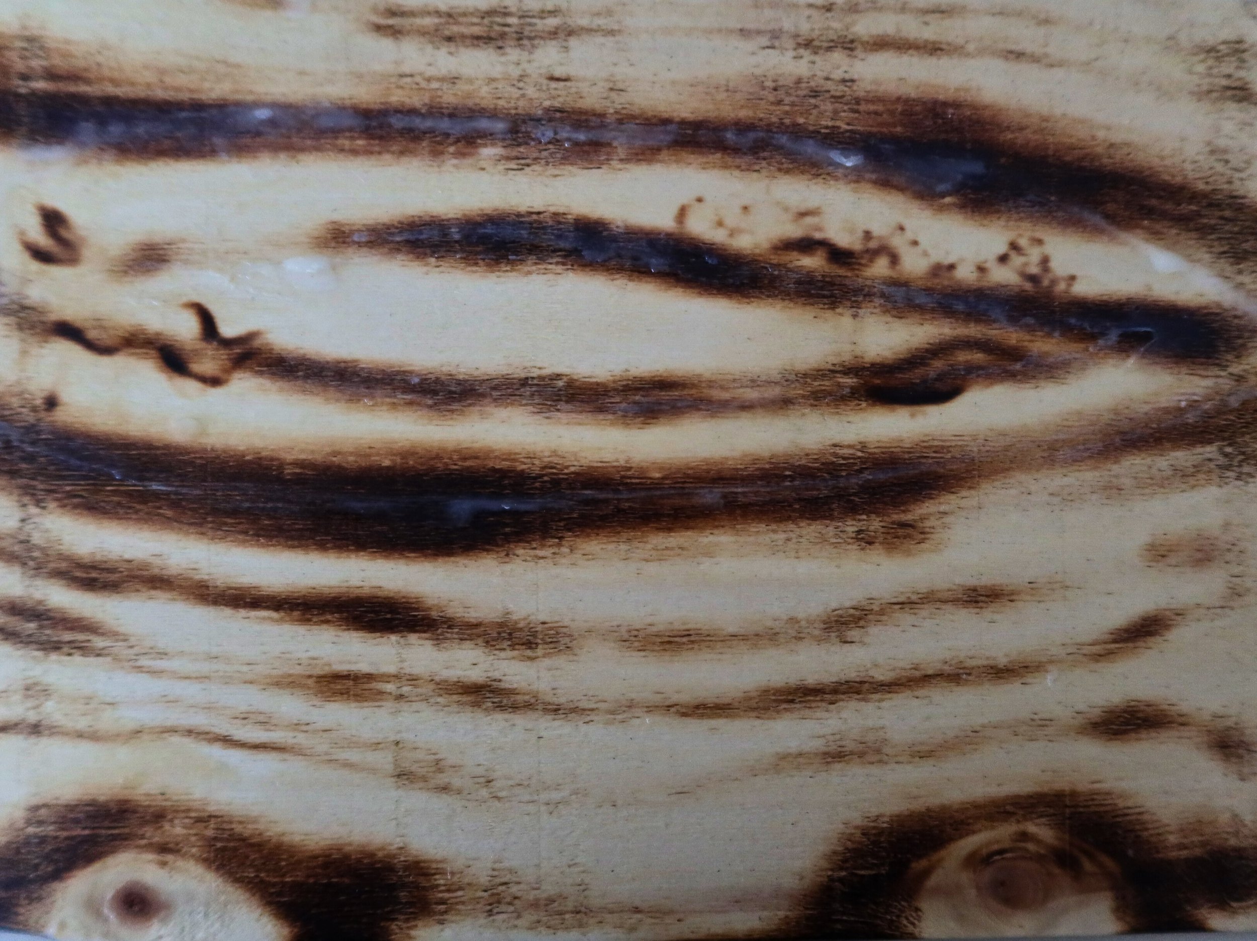 Vagina, Everyone wants to see, 2023, 21x29.5 cm, burned wood by Corina DC FireLady