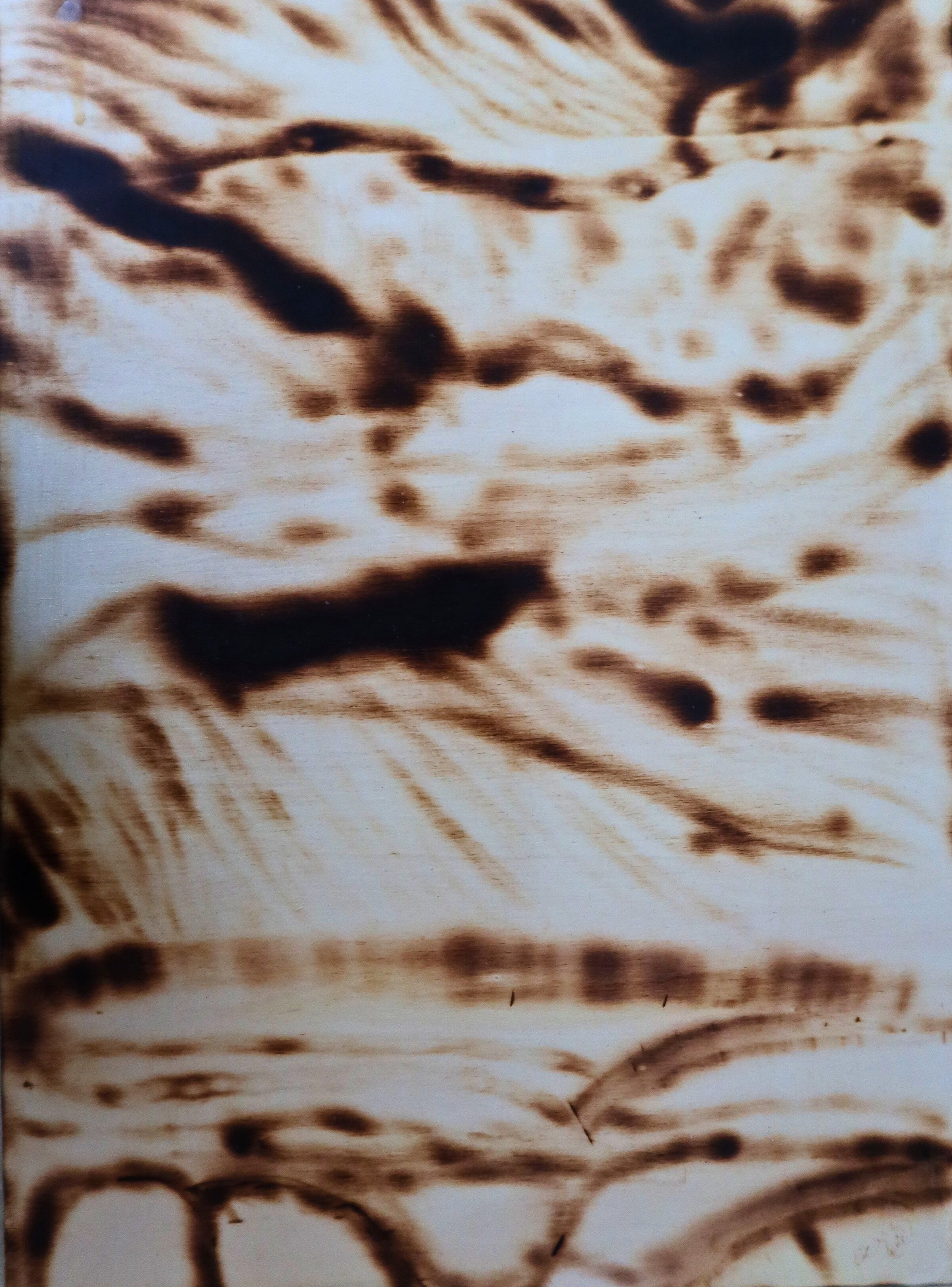 Rocks, or what you want to see, 2023, 42x30 cm, burned wood by Corina DC FireLady