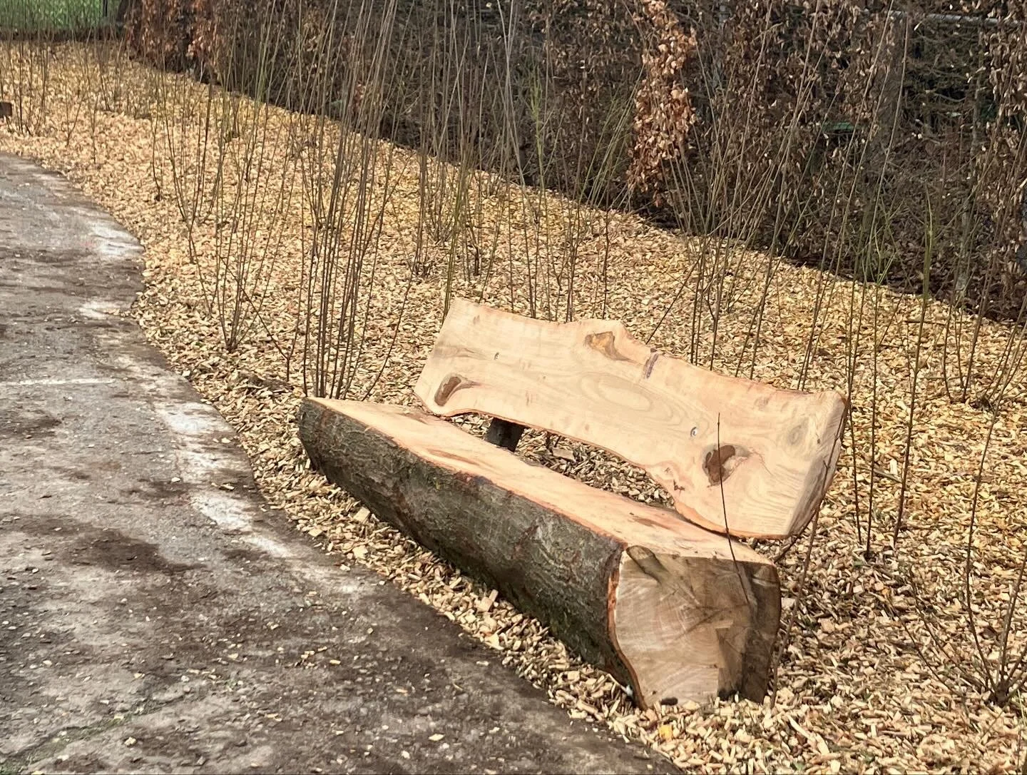 Eco tuinen (9).JPEG