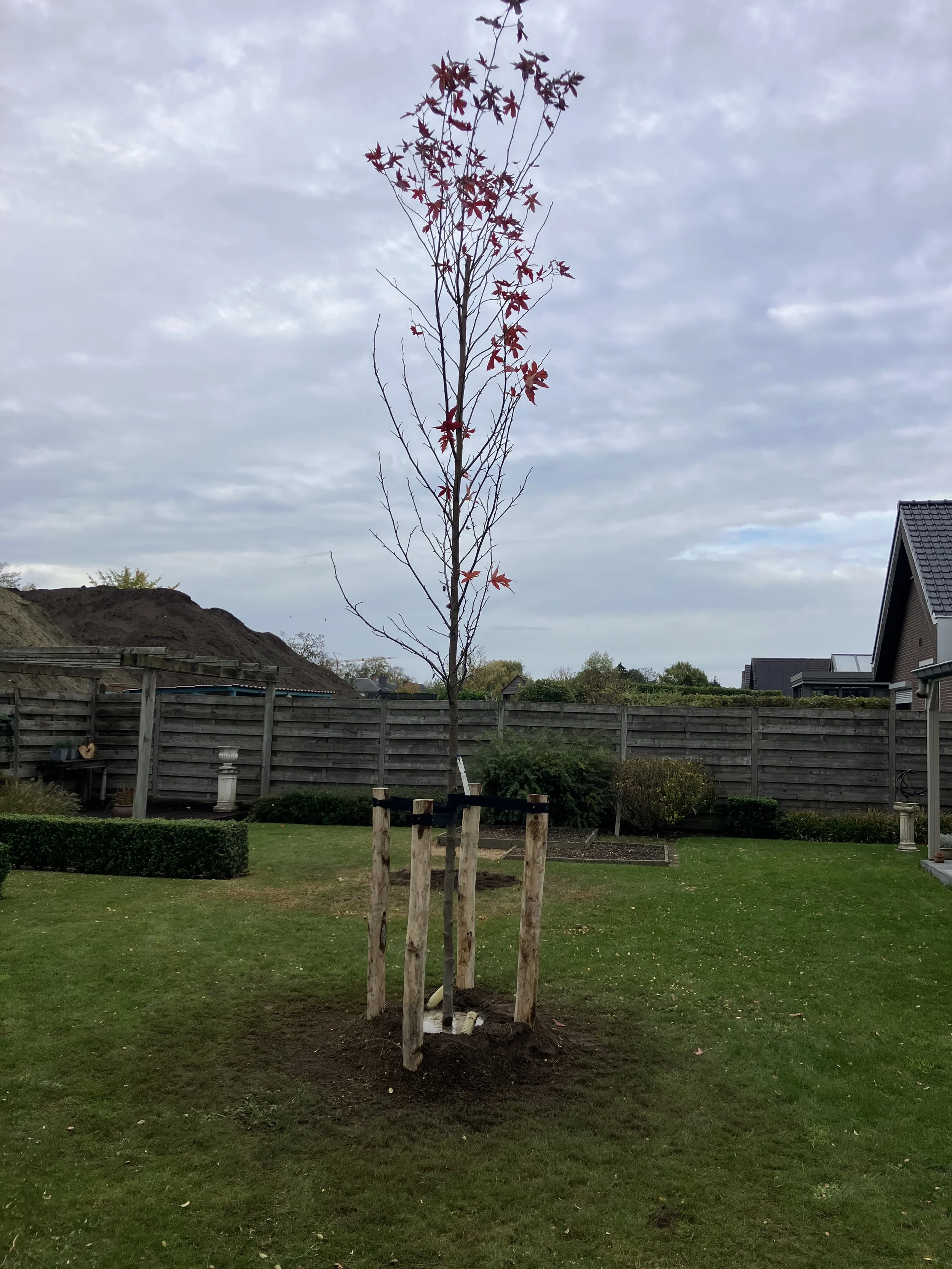 Eco tuinen (2).JPEG