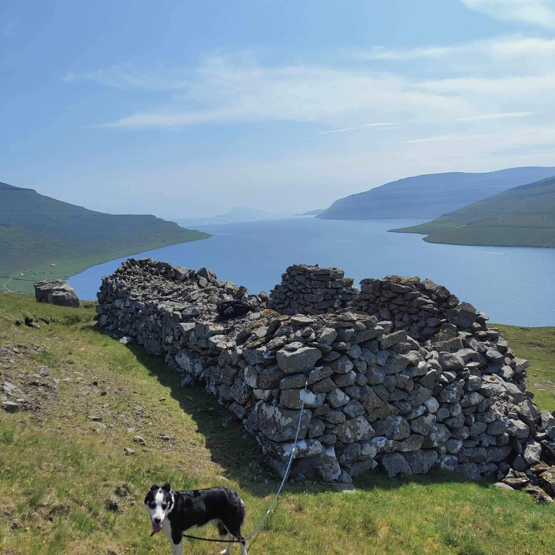 Homehospitality Heimablídni