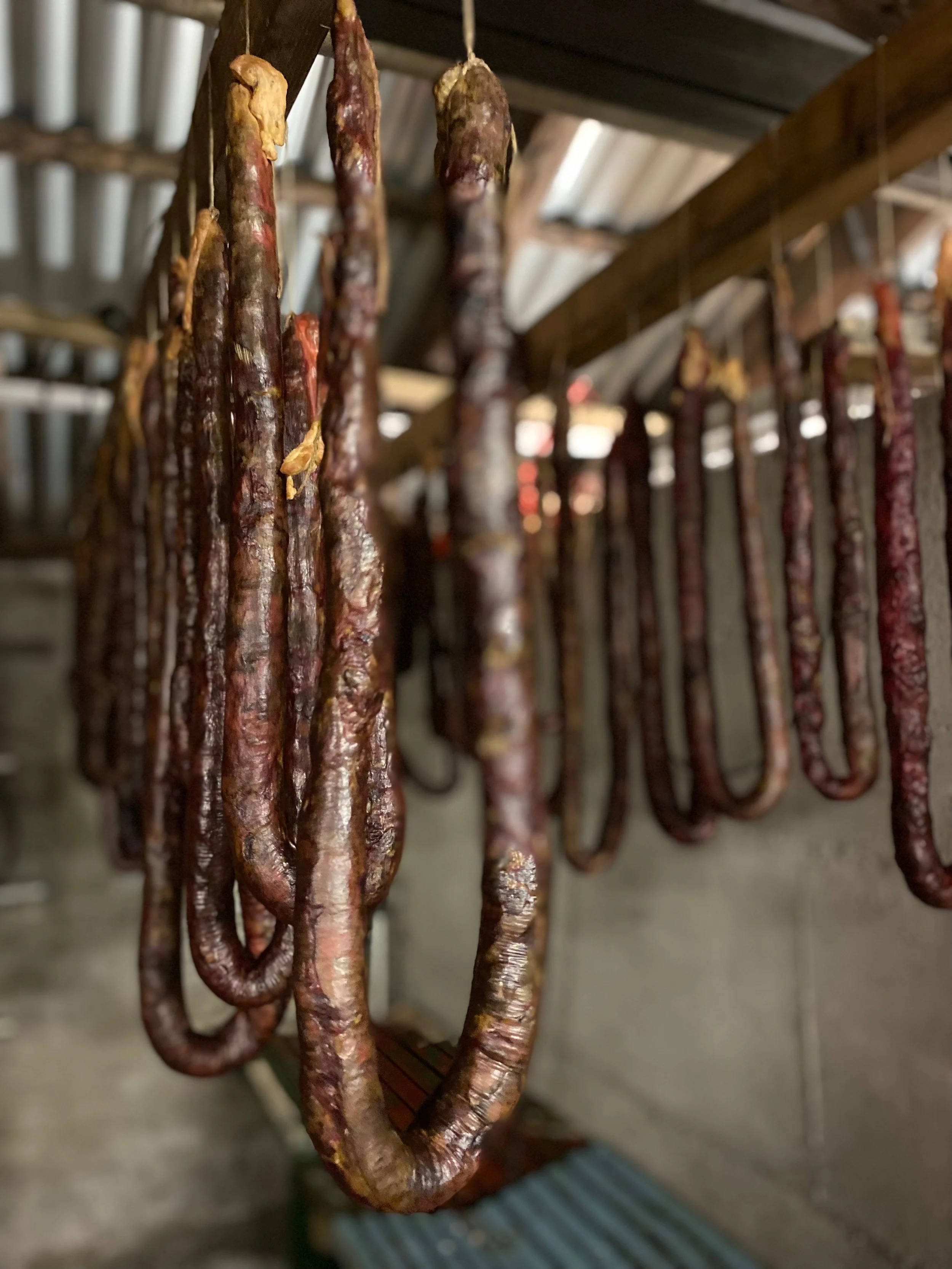 hangandi sperlar.jpg