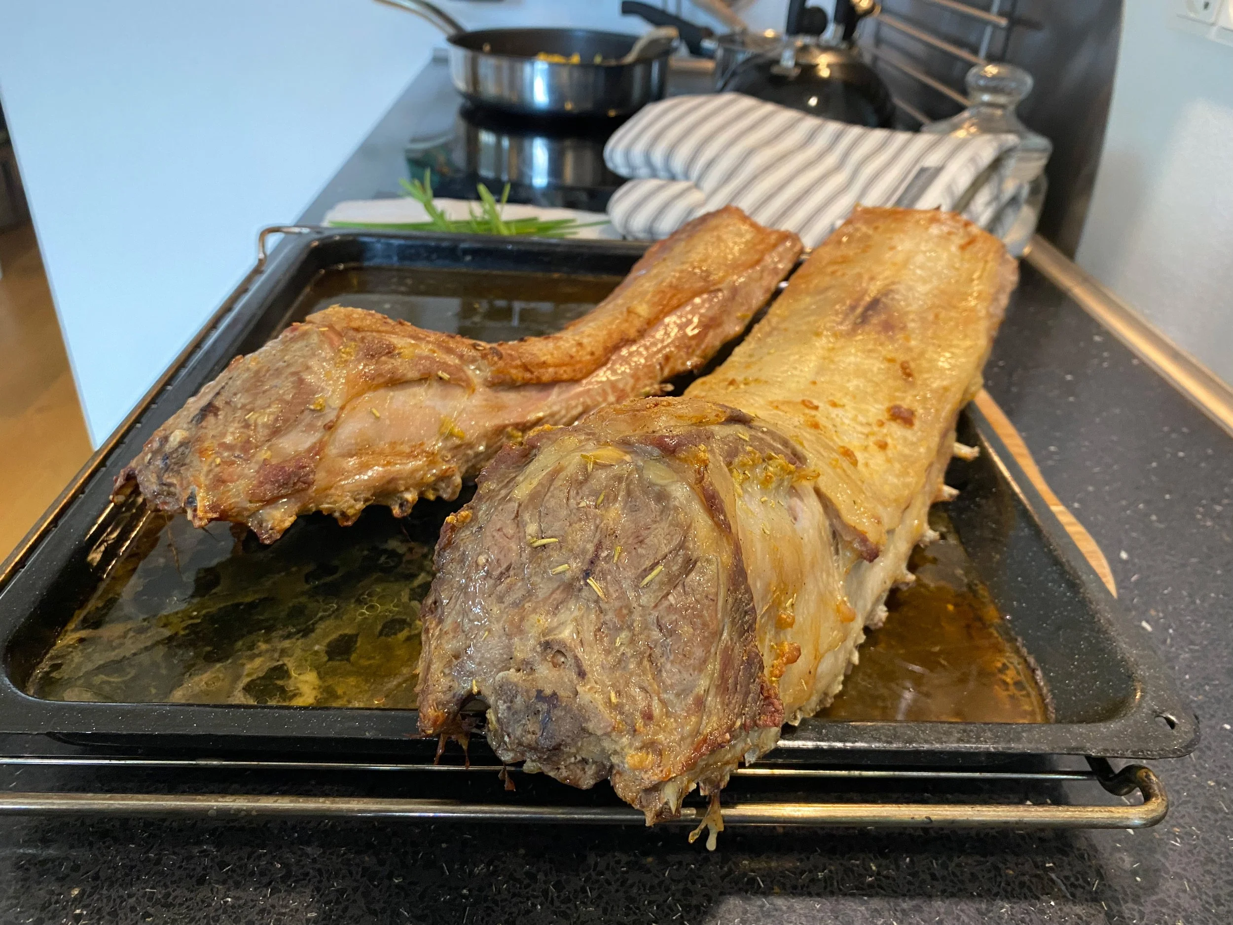 tender lamb heimablidni