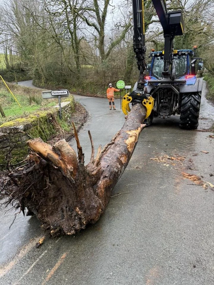 CORSERV - 15 BRIDGES CLEARED