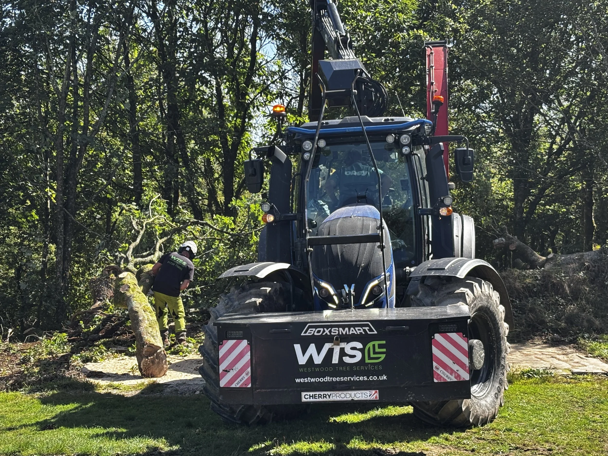 Domestic tree work