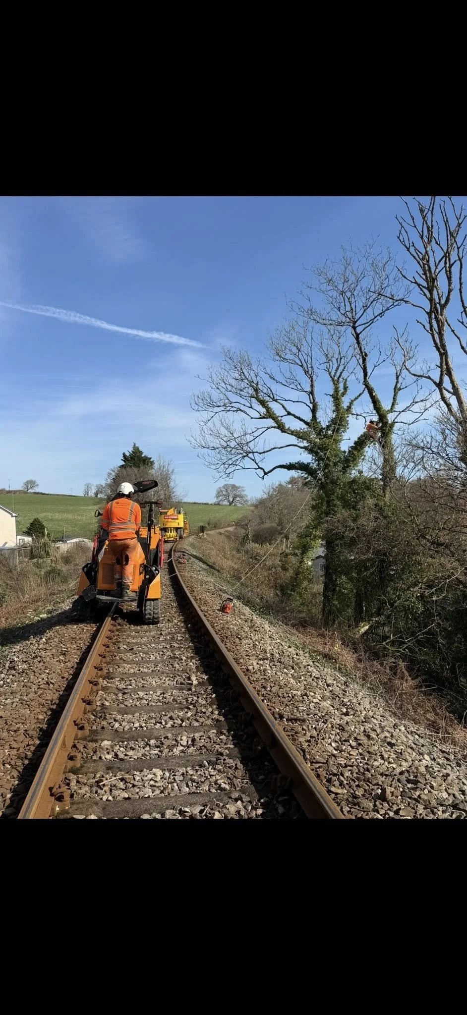 Railroad worker in orange safety gear on track, trimming a tree with equipment, with a clear blue sky and some trees in the background.