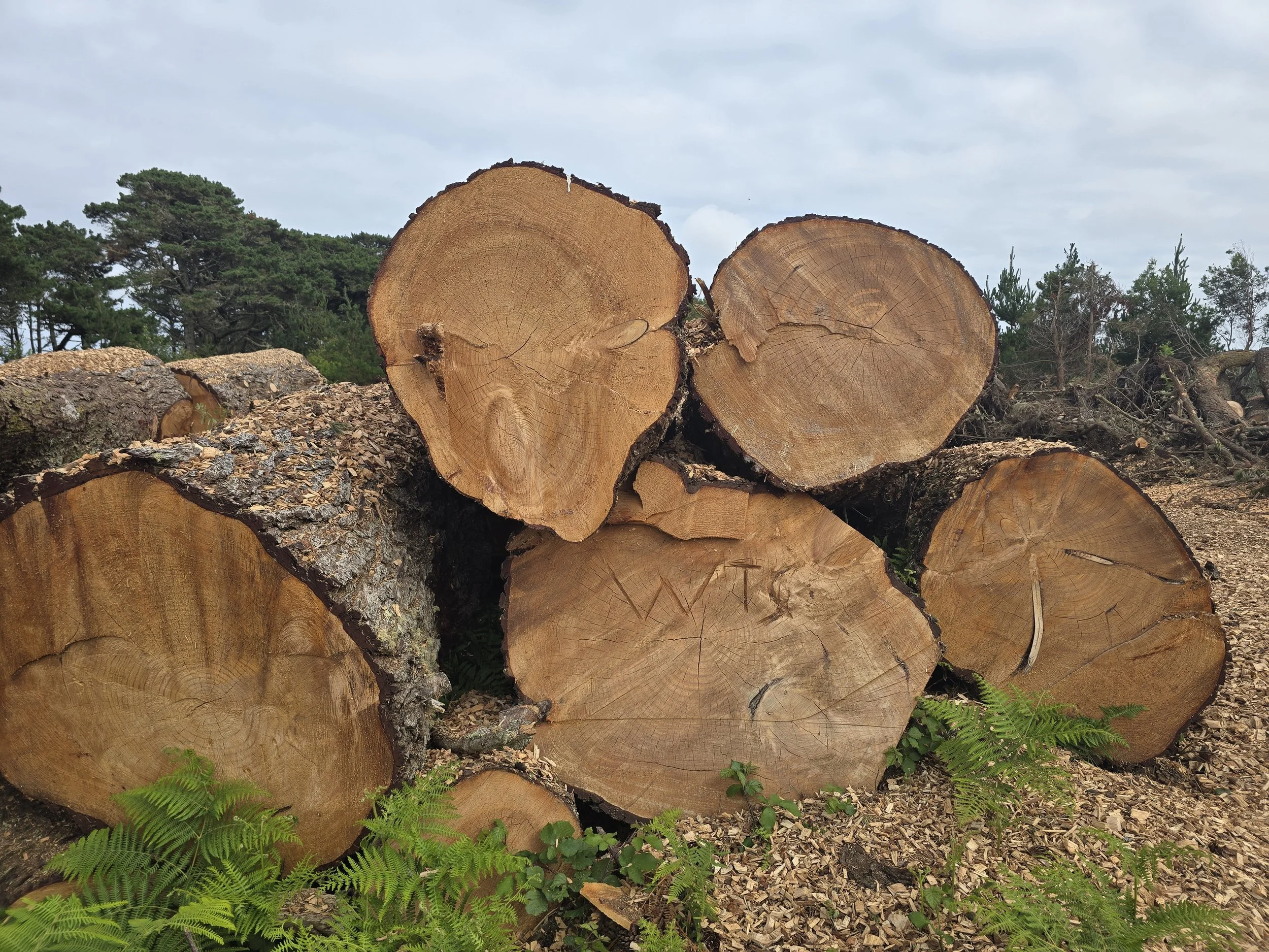 Isle of Scilly - Storm Goretti