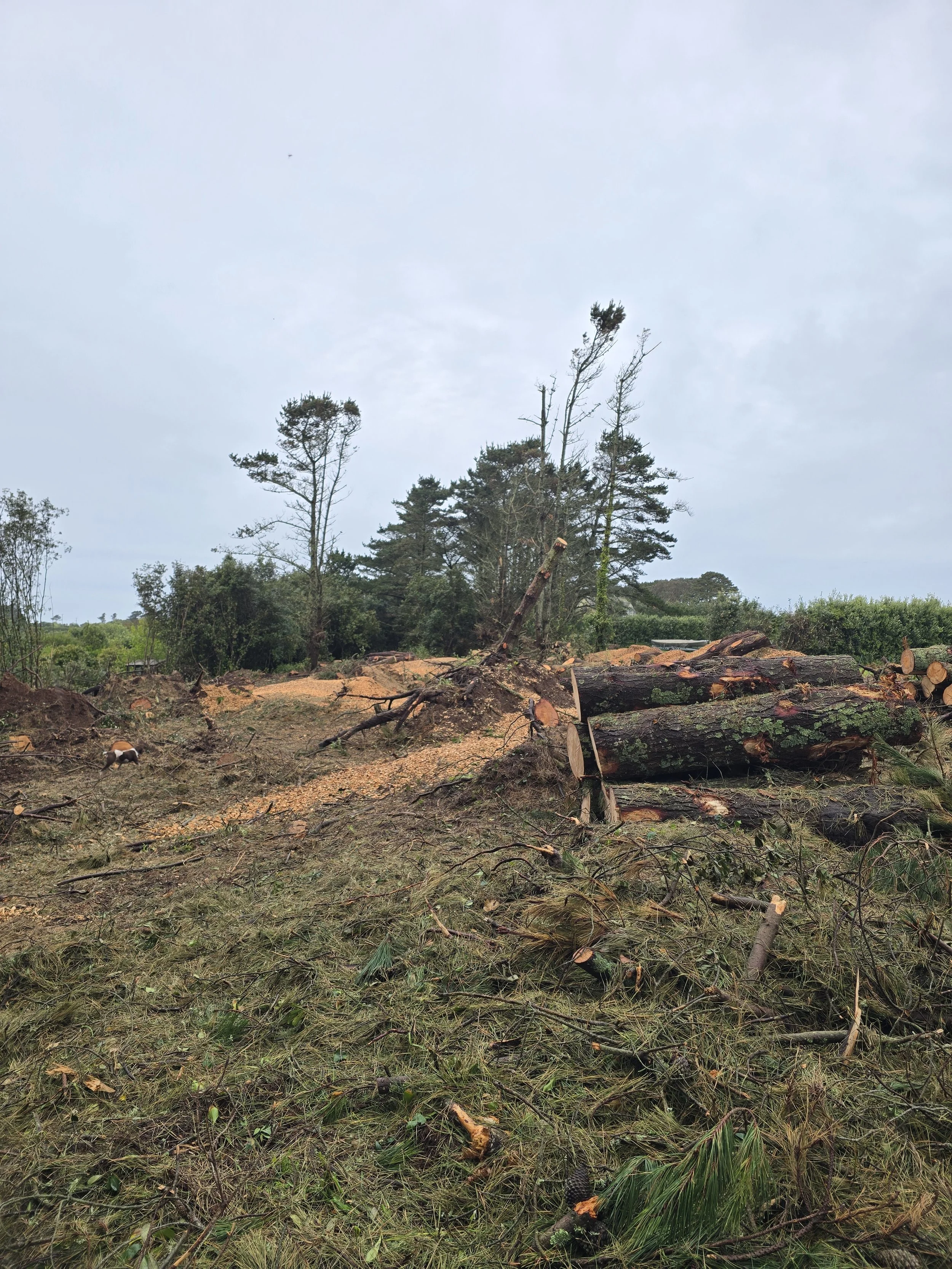 Isle of Scilly - Storm Goretti