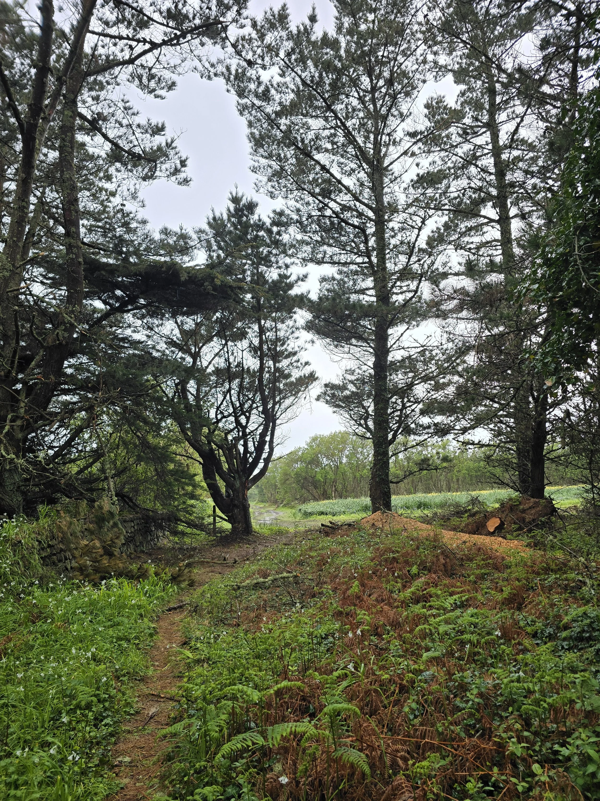 Isle of Scilly - Storm Goretti