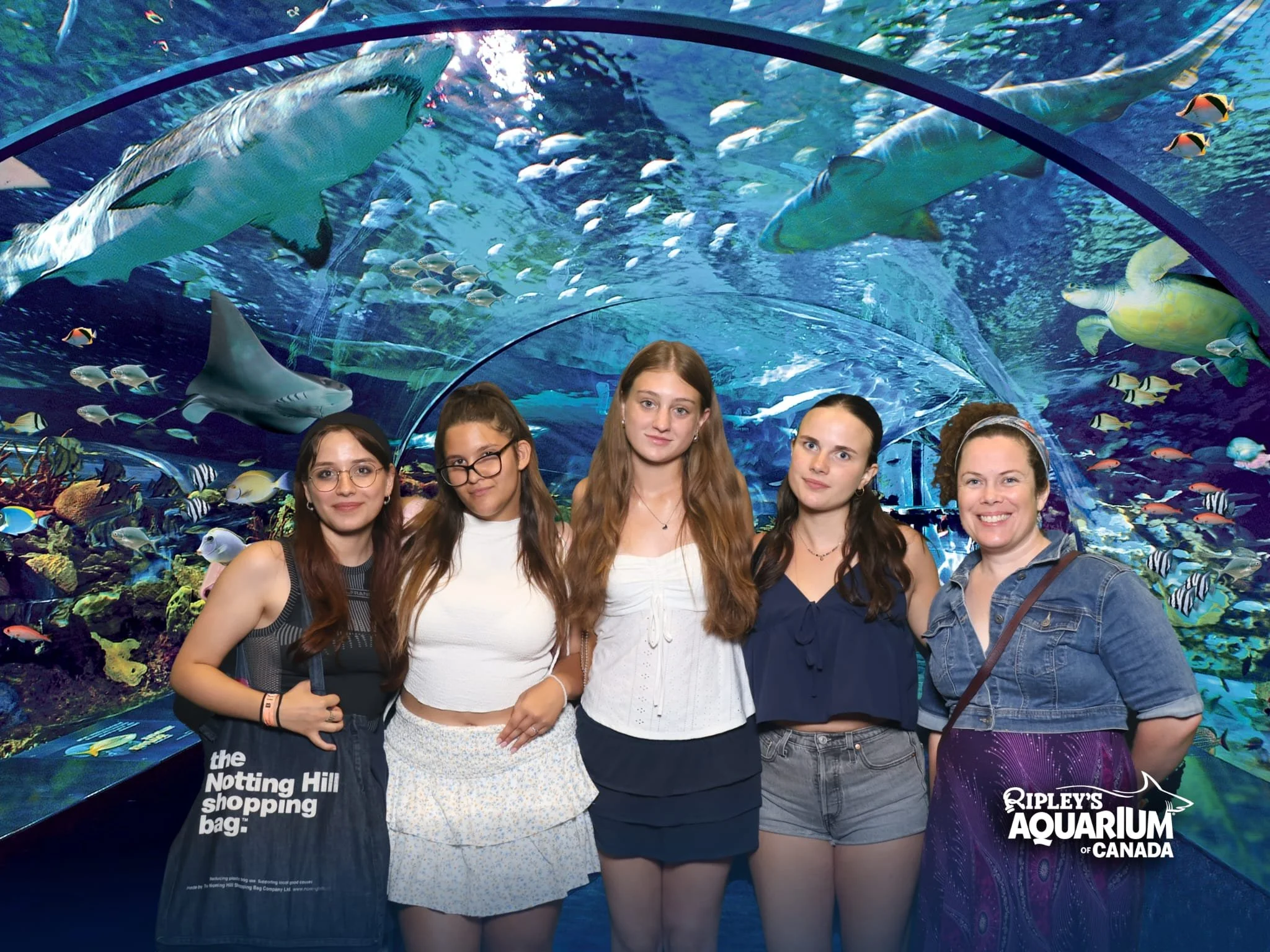 Ripley's Aquarium (3).jpeg