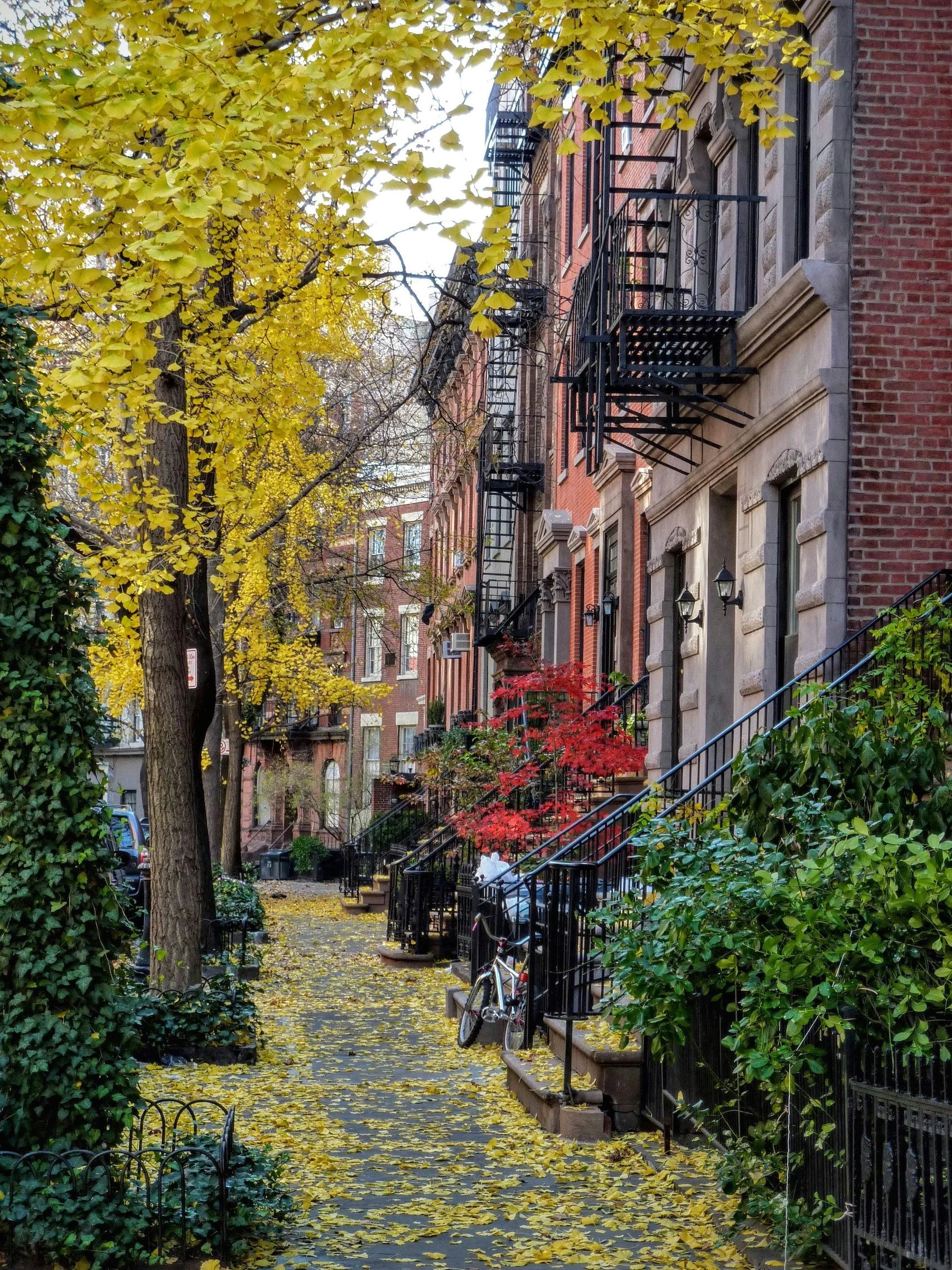Greenwhich Village Street view.jpg