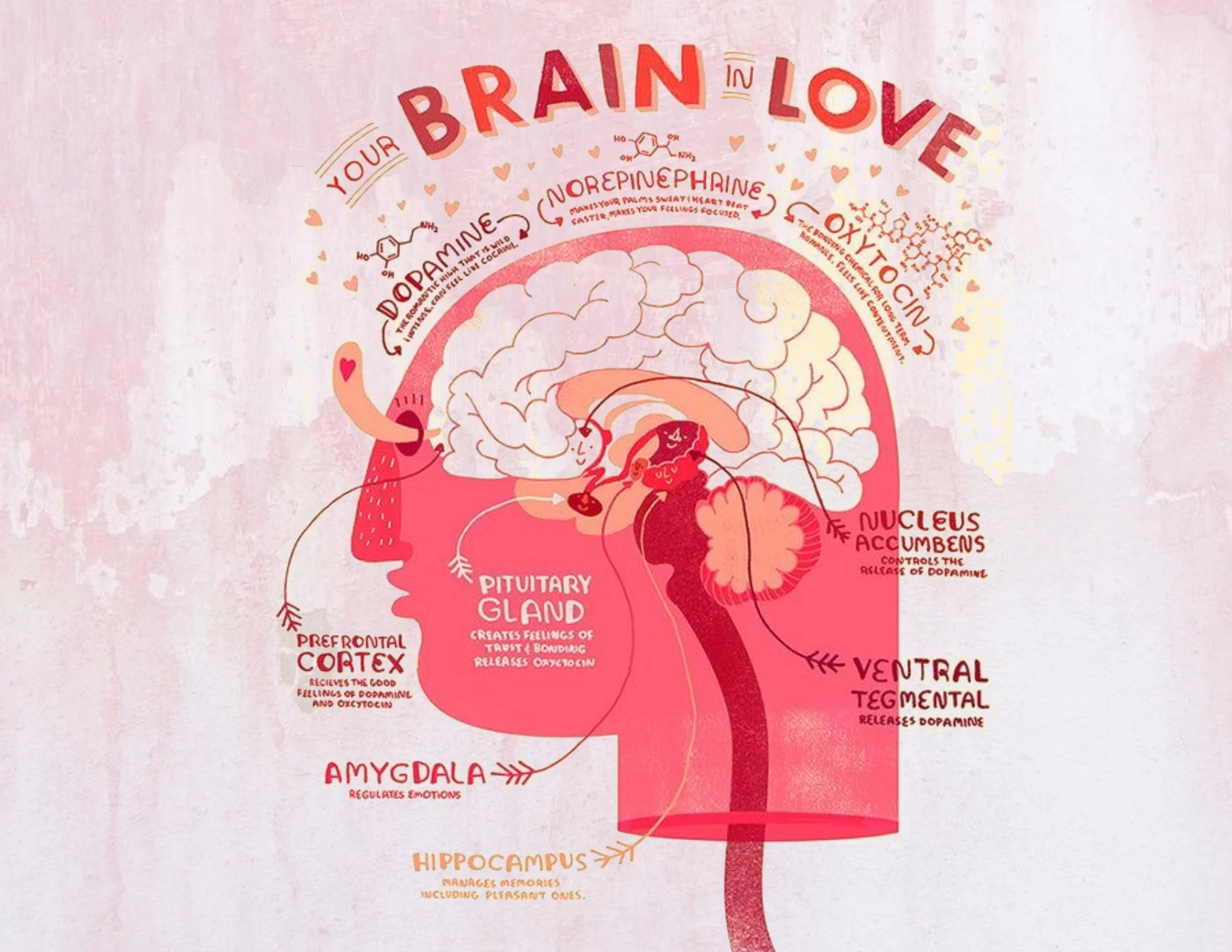 Group-PDF-Export 7_Page_05.jpg