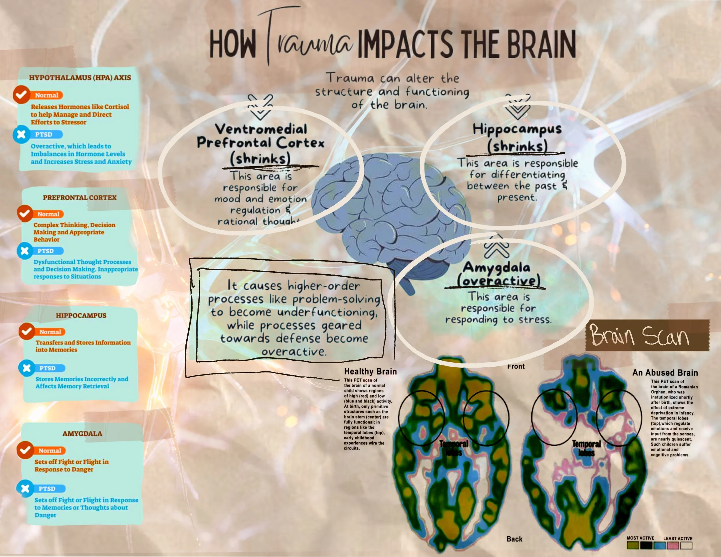 Collection 1_Traumatized_TGaffney_Page_08.jpg