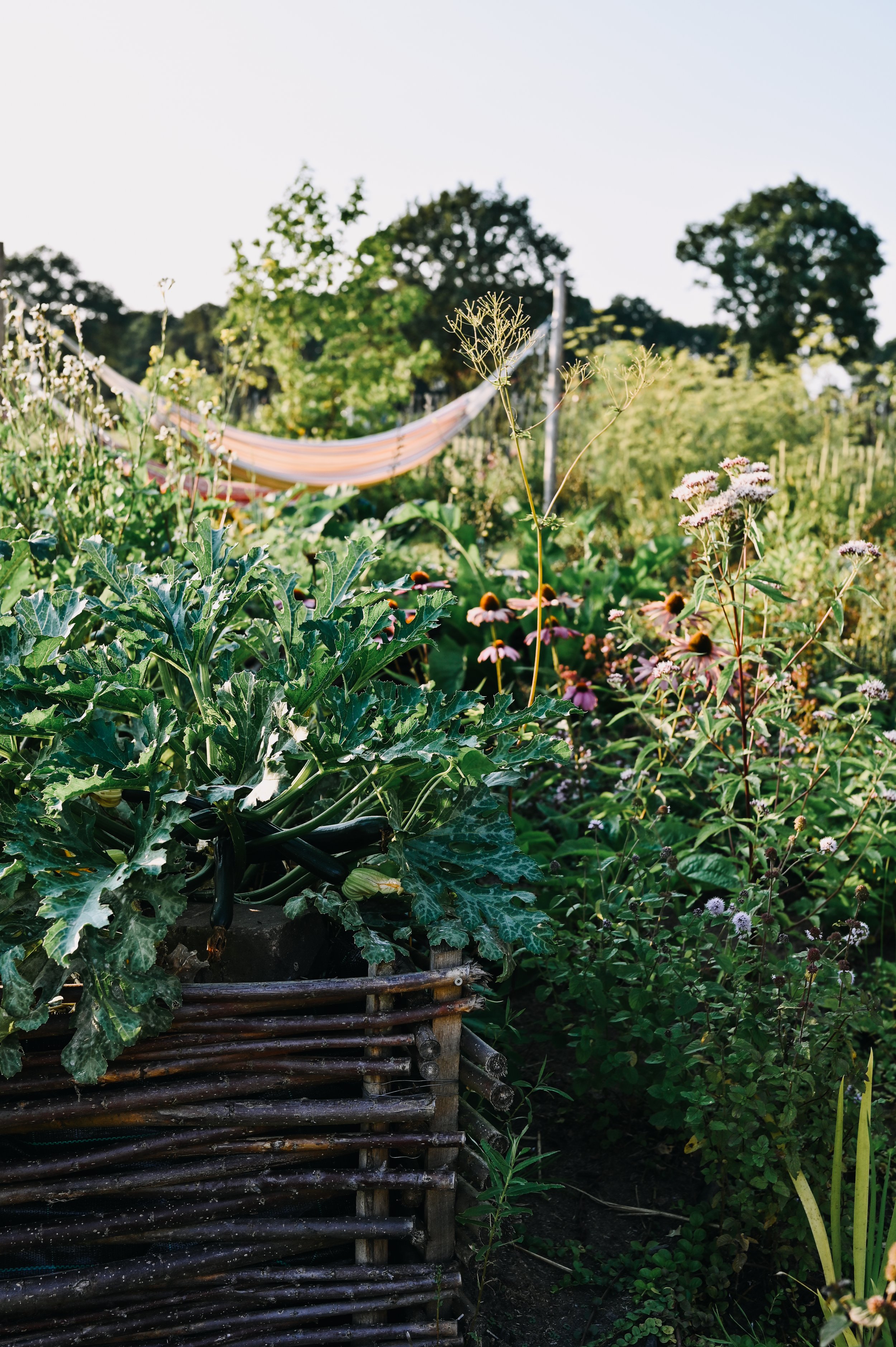 DSC_3797.jpg
