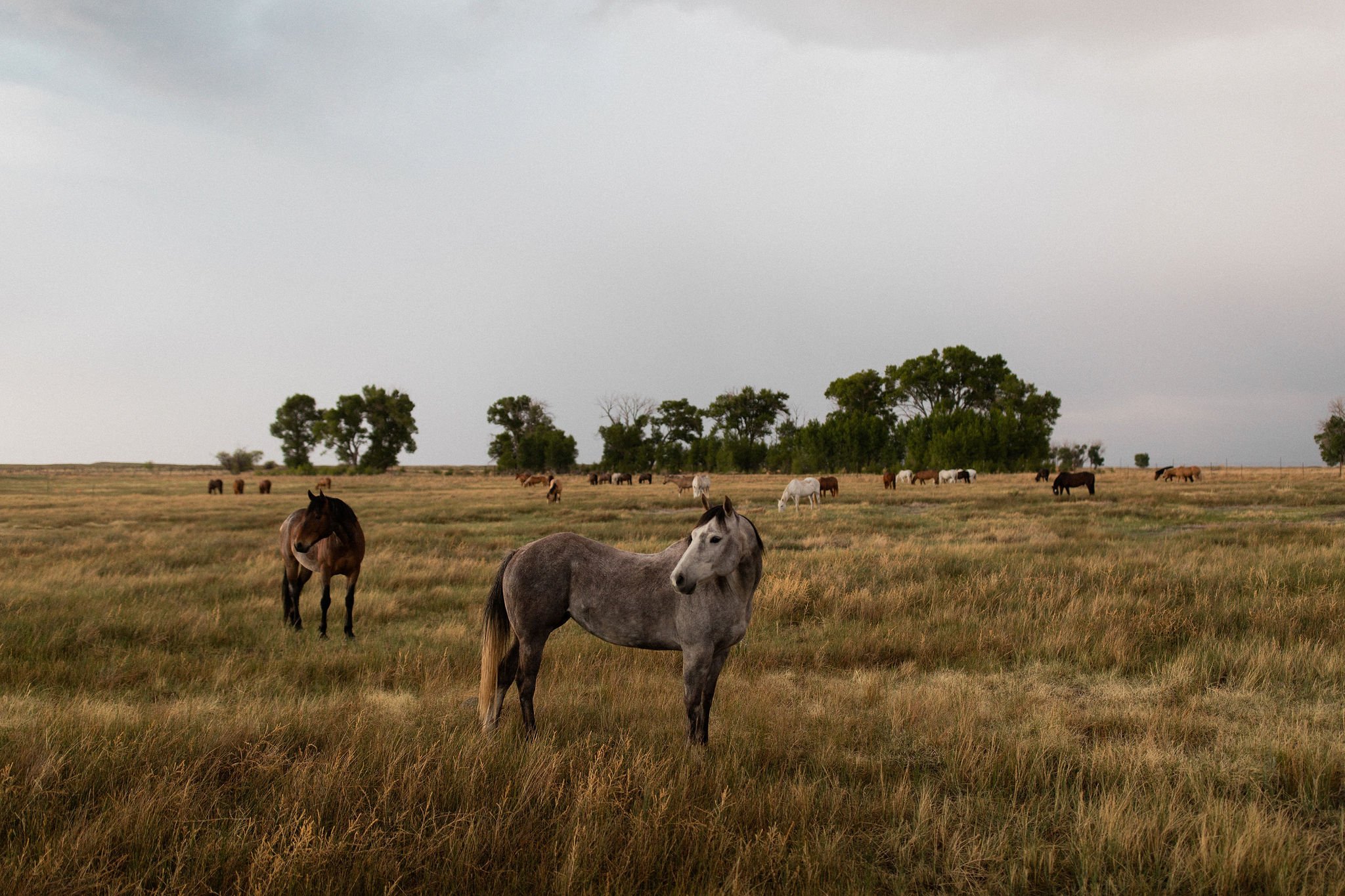 ranchlandsrestorativeretreat-spring2023-348 (1).jpg