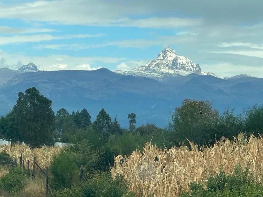 WhatsApp Image 2026-04-09 at 9.06.46 PM.jpeg