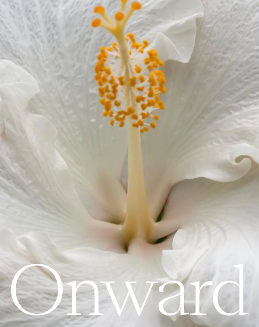 CREATIVE CONCEPTS &amp; CONTENT PRODUCTION