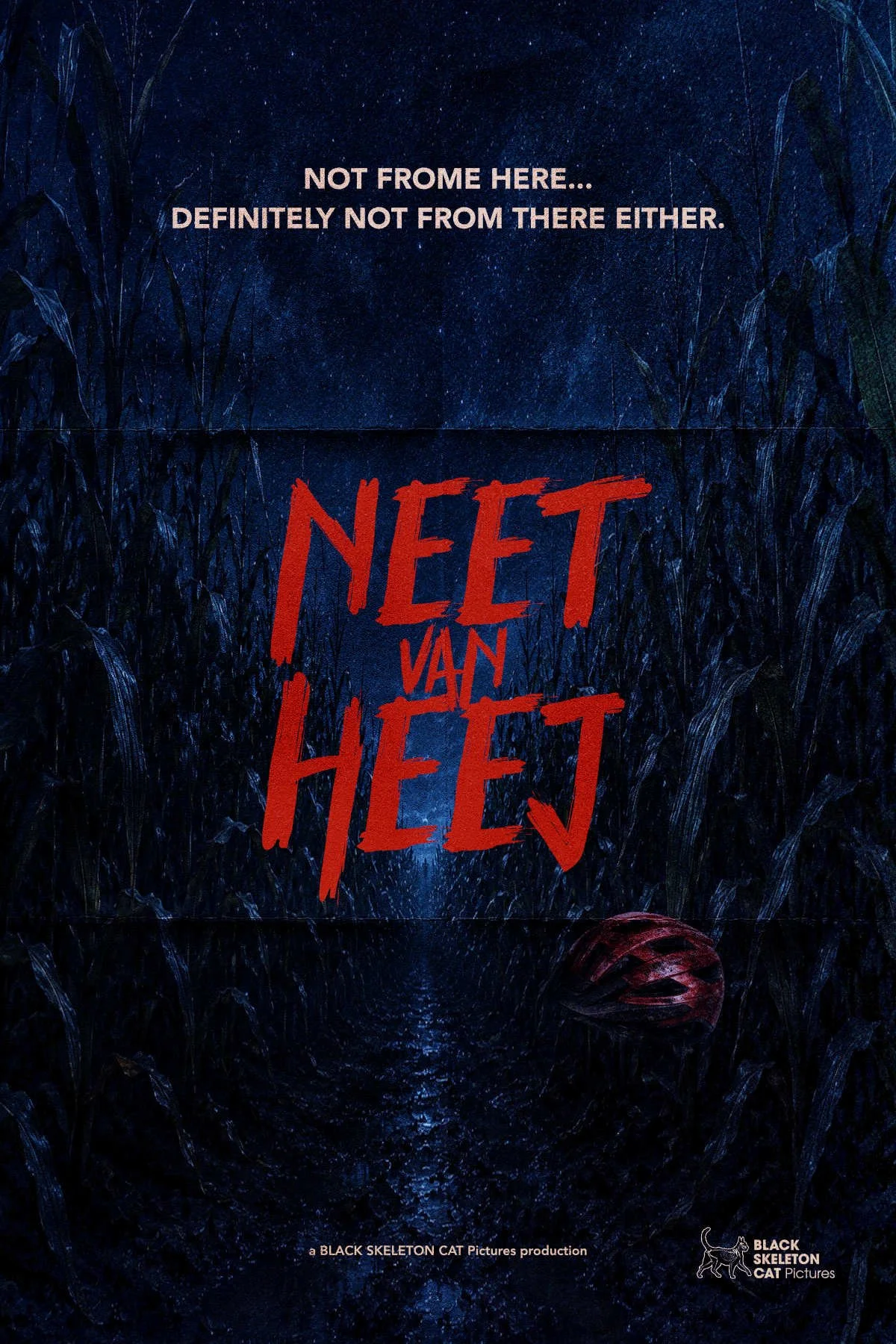 Neet van Heej poster web compressie.jpg