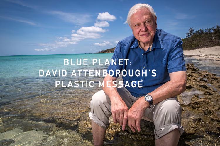 https___hypebeast.com_image_2018_11_netflix-david-attenborough-our-planet-details-0-Edit.png