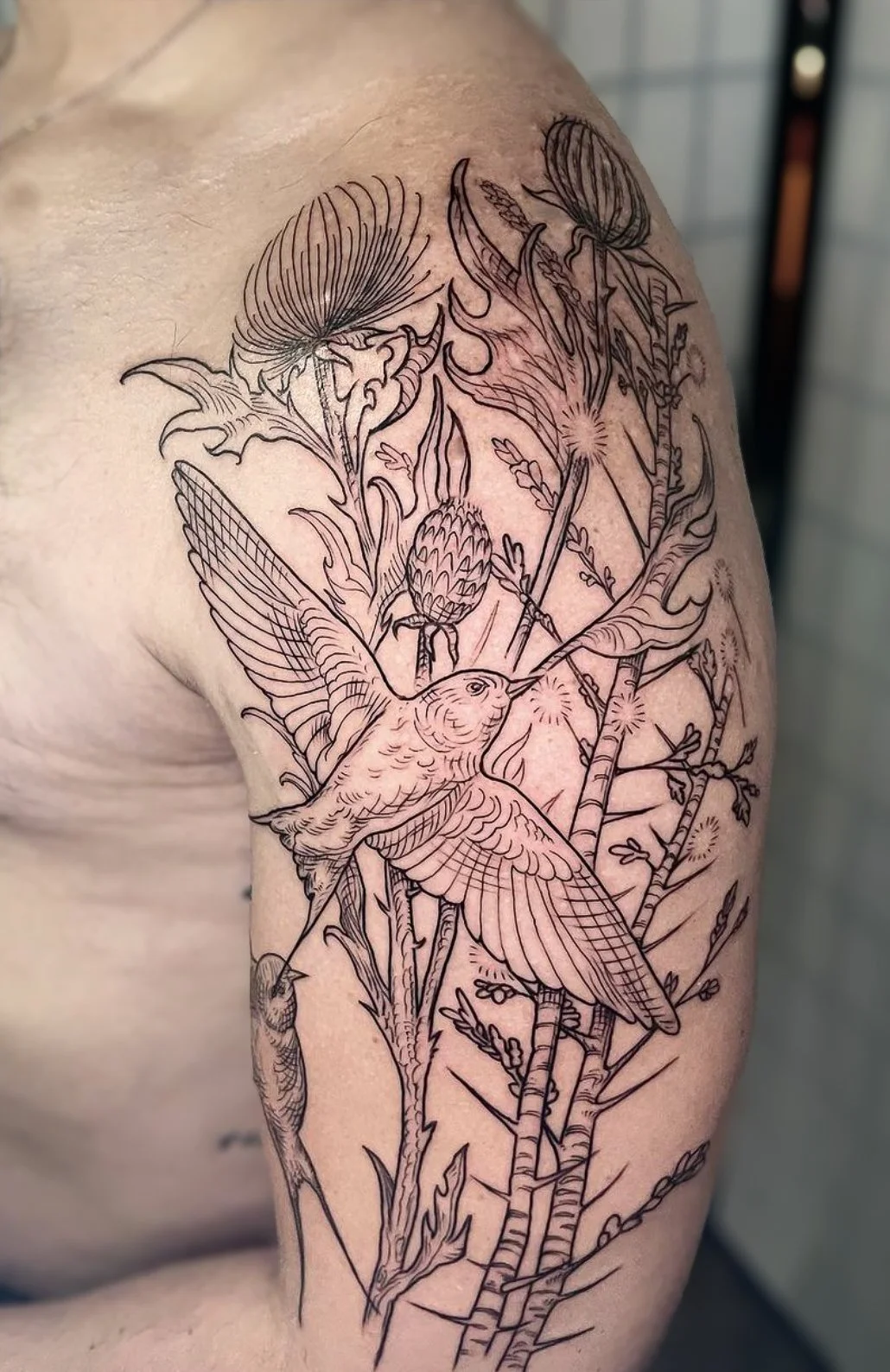 Screen Shot 2024-02-17 at 8.32.04 PM.jpg