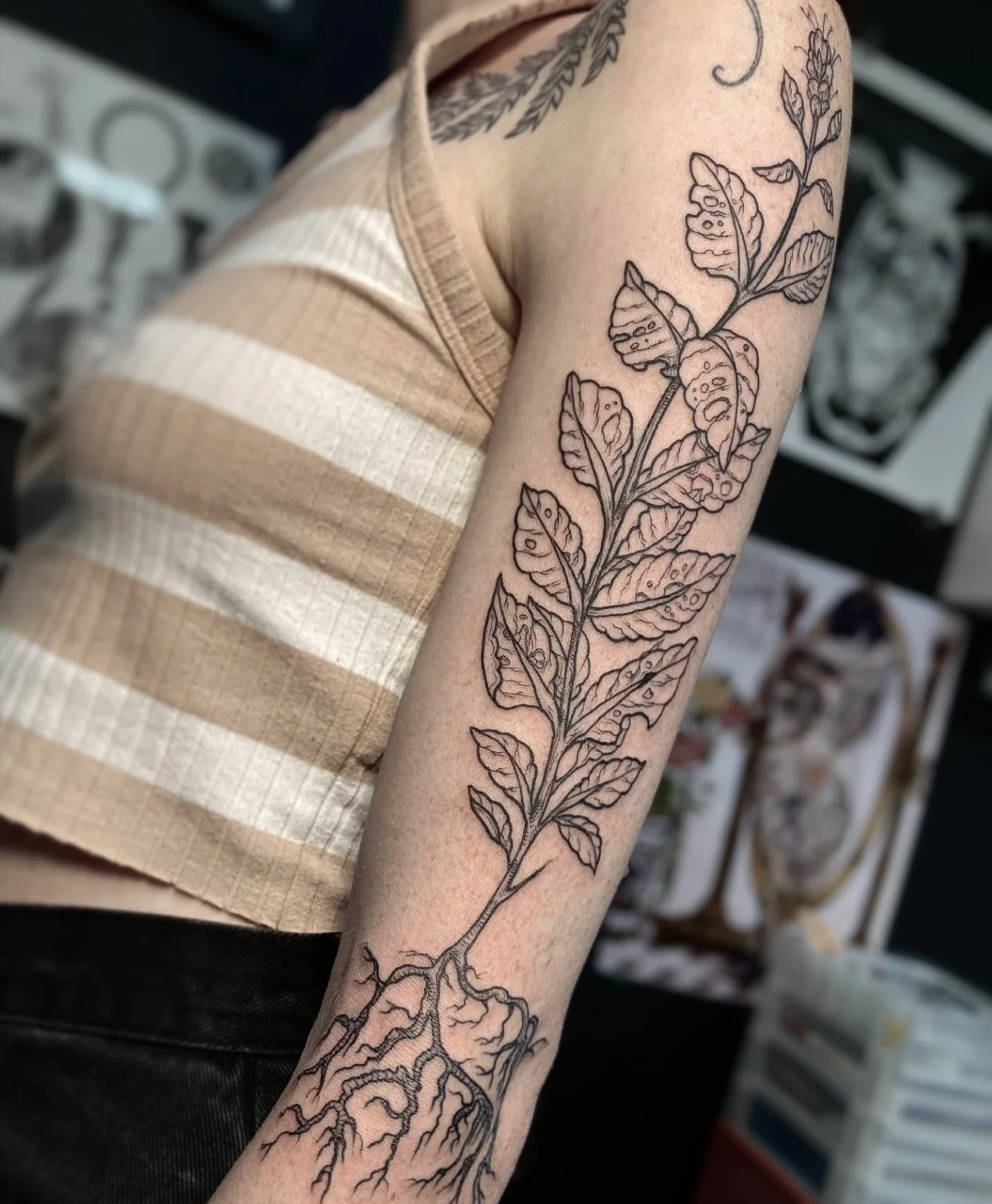 Screen Shot 2024-02-17 at 9.27.00 PM.jpg