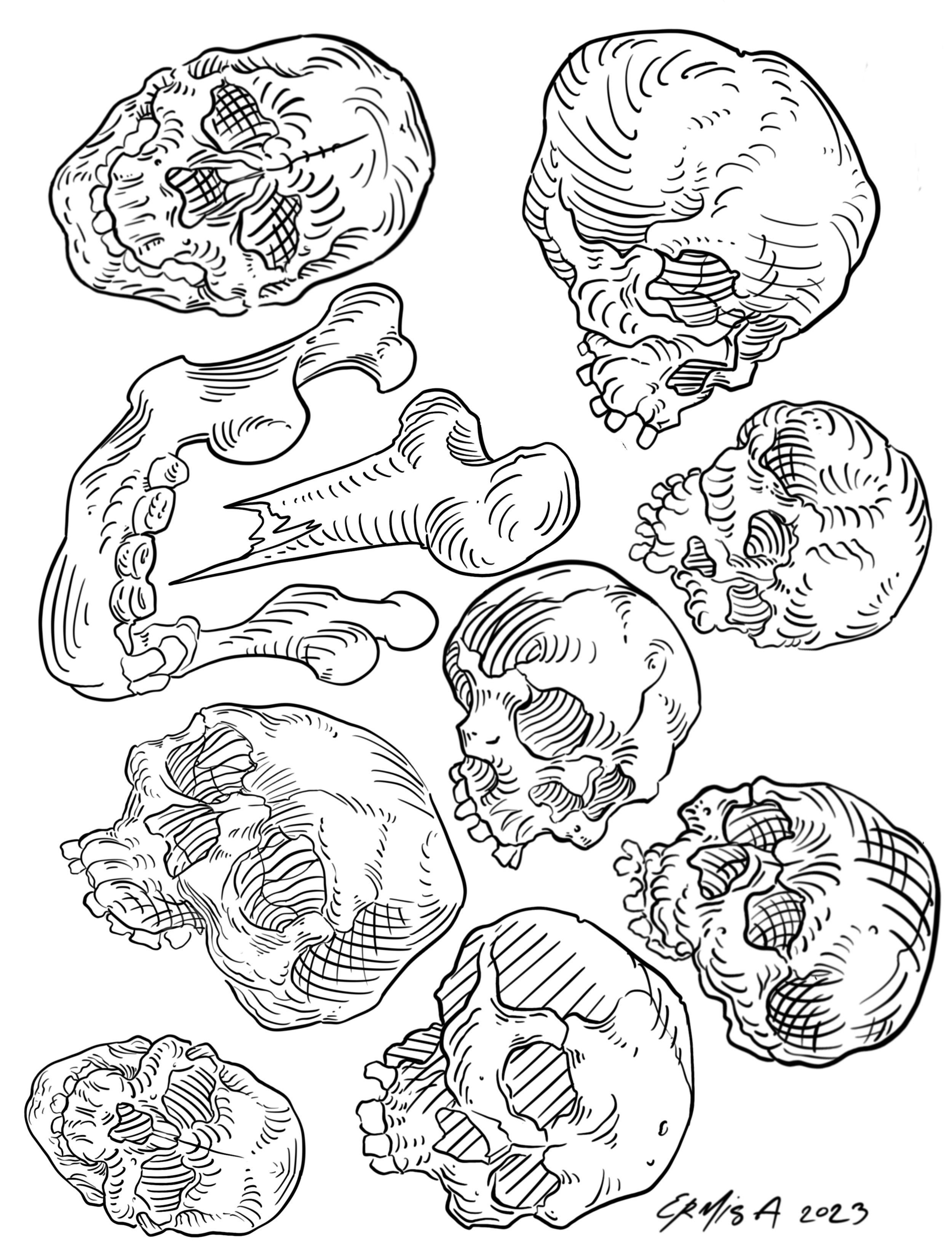 Untitled_Artwork 12.png